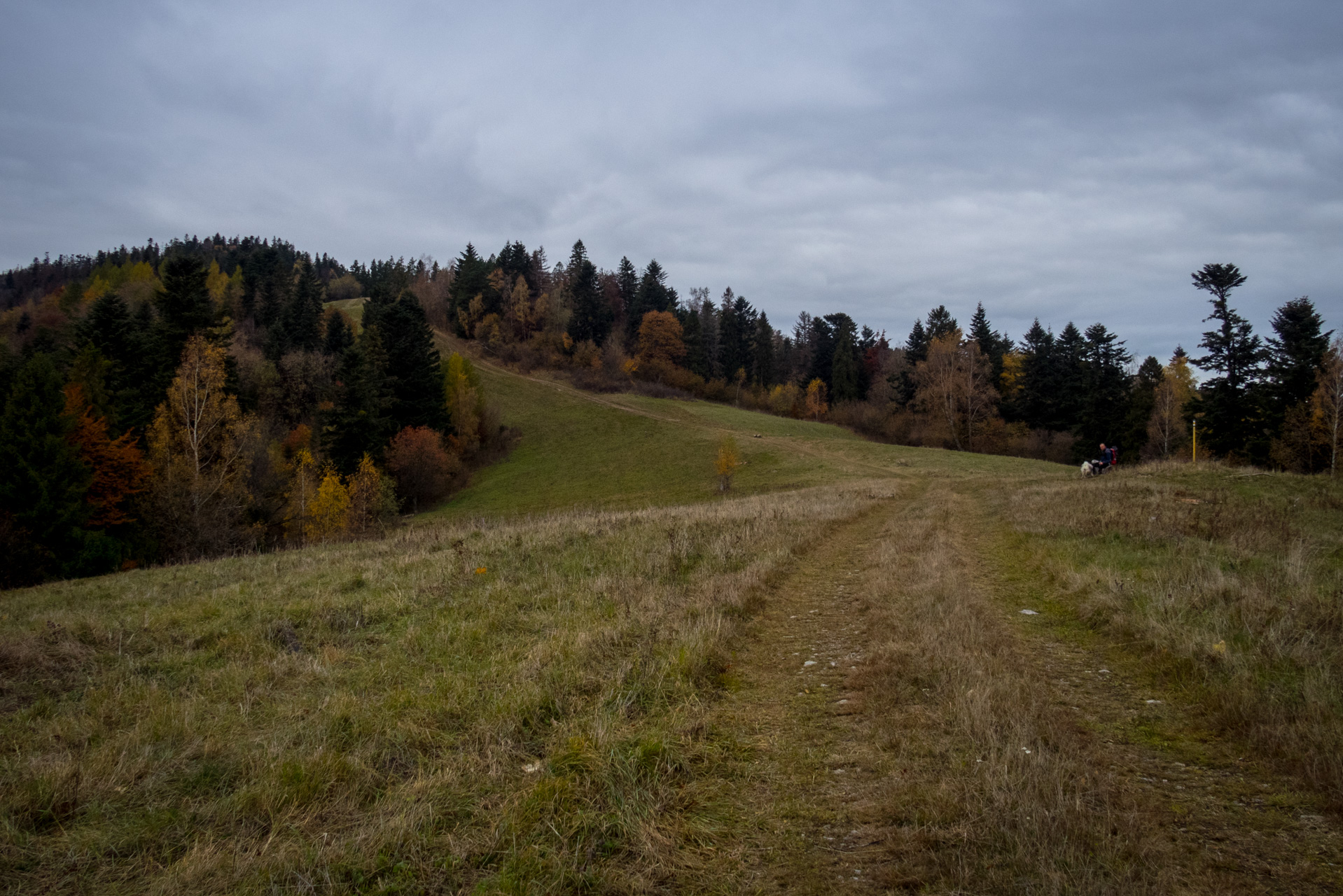 Smrekovica zo Šindliara (Branisko)