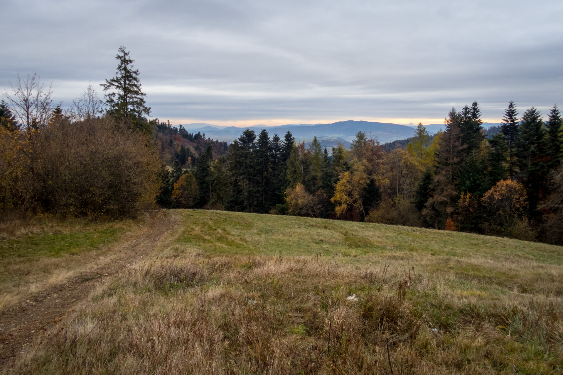 Smrekovica zo Šindliara (Branisko)