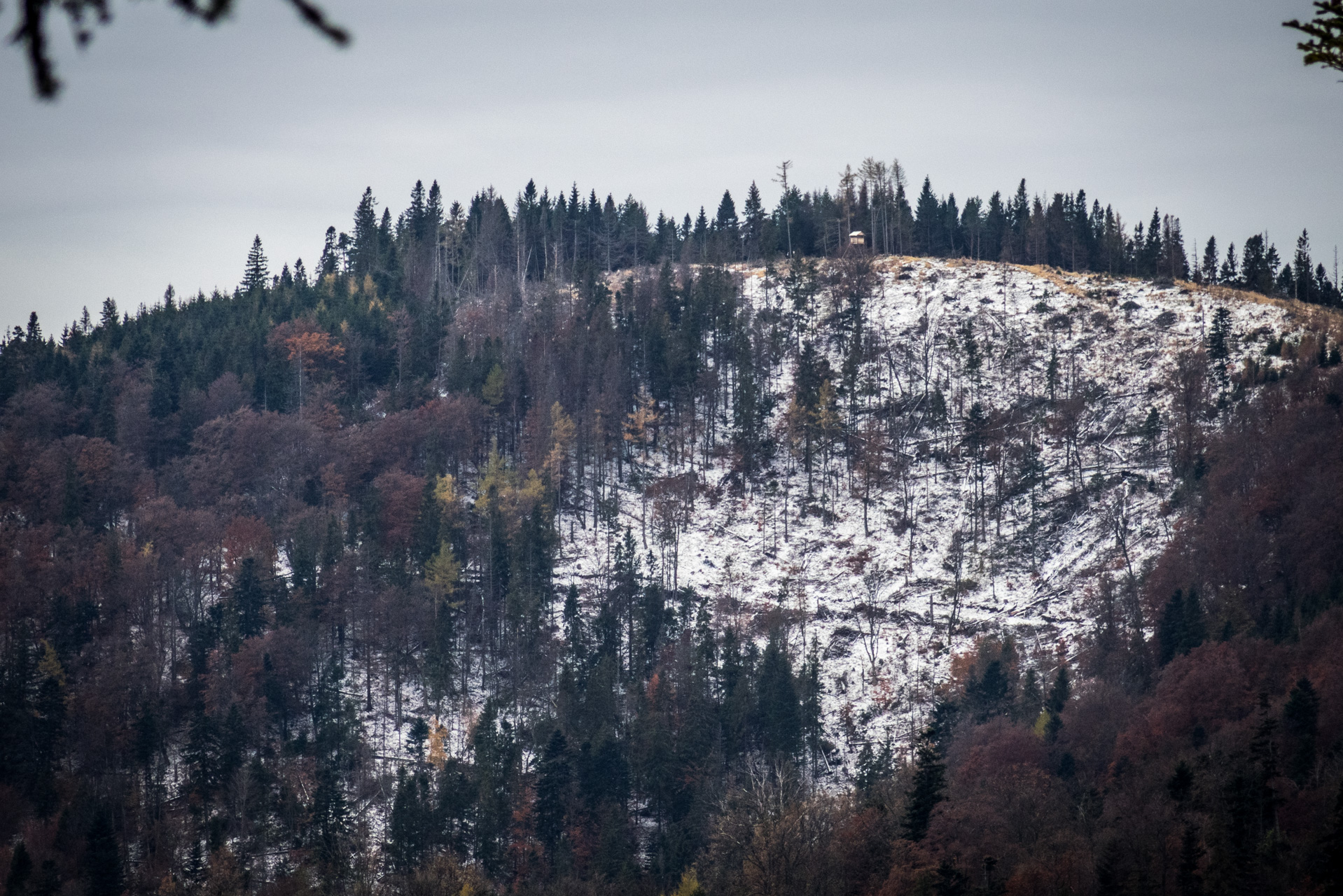 Smrekovica zo Šindliara (Branisko)