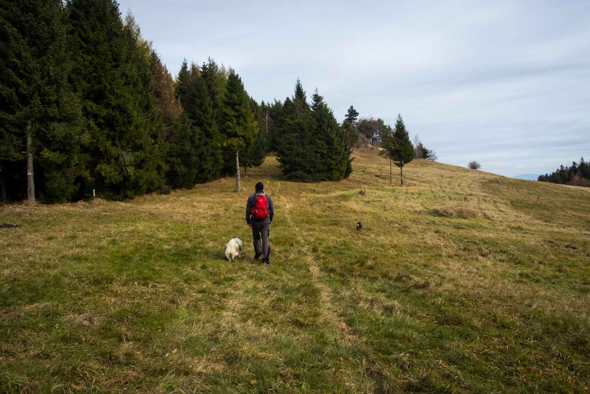 Smrekovica zo Šindliara (Branisko)