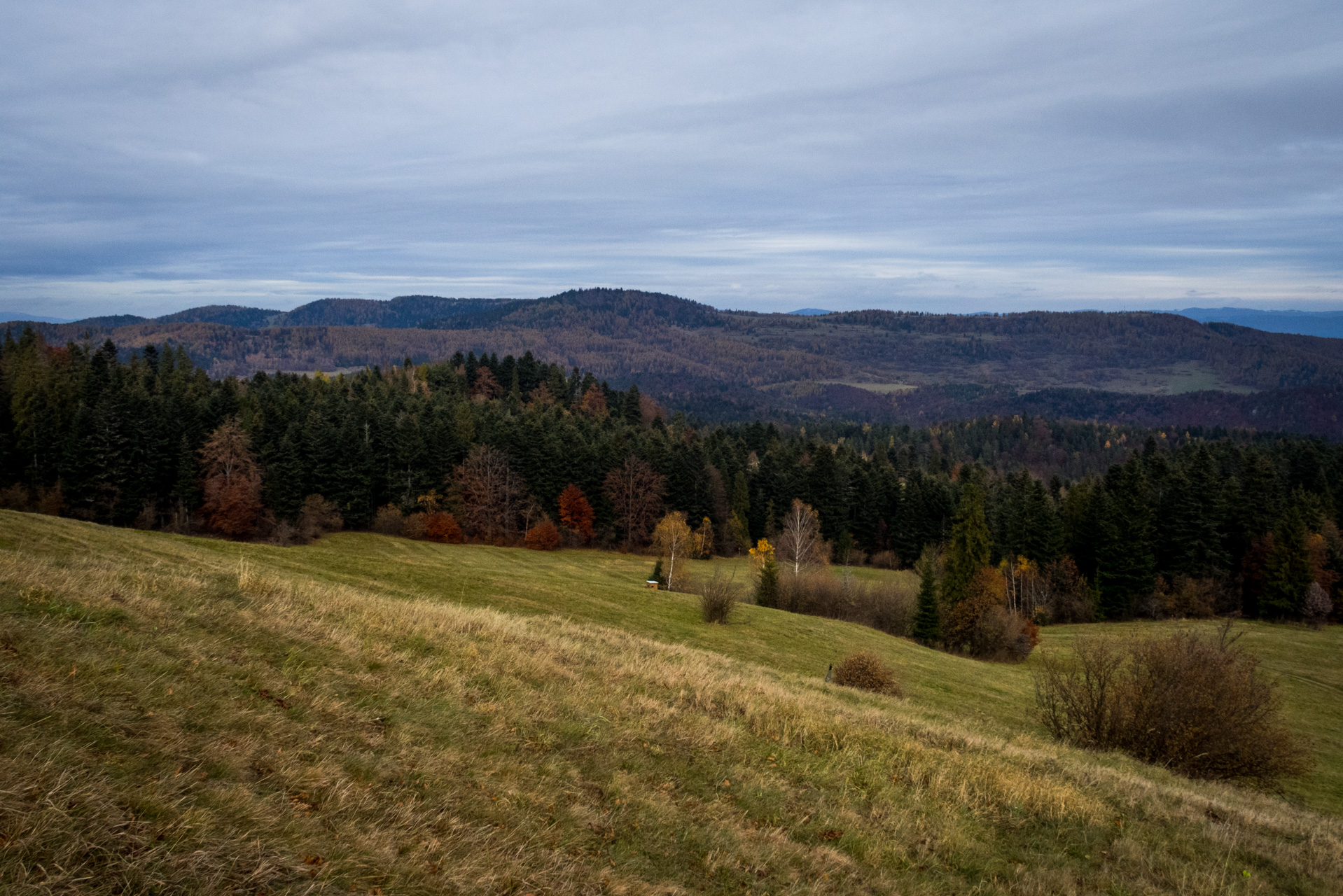 Smrekovica zo Šindliara (Branisko)