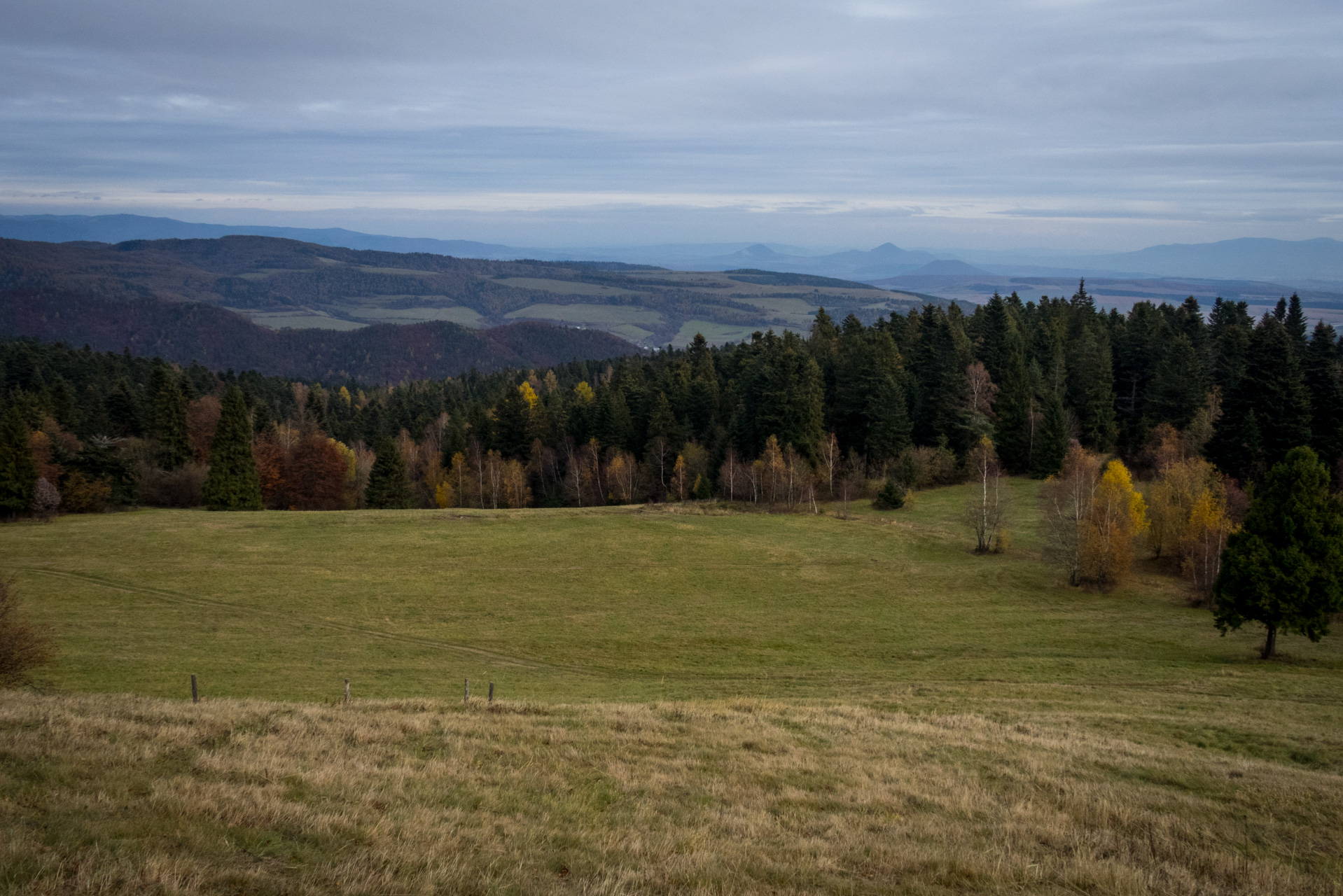 Smrekovica zo Šindliara (Branisko)