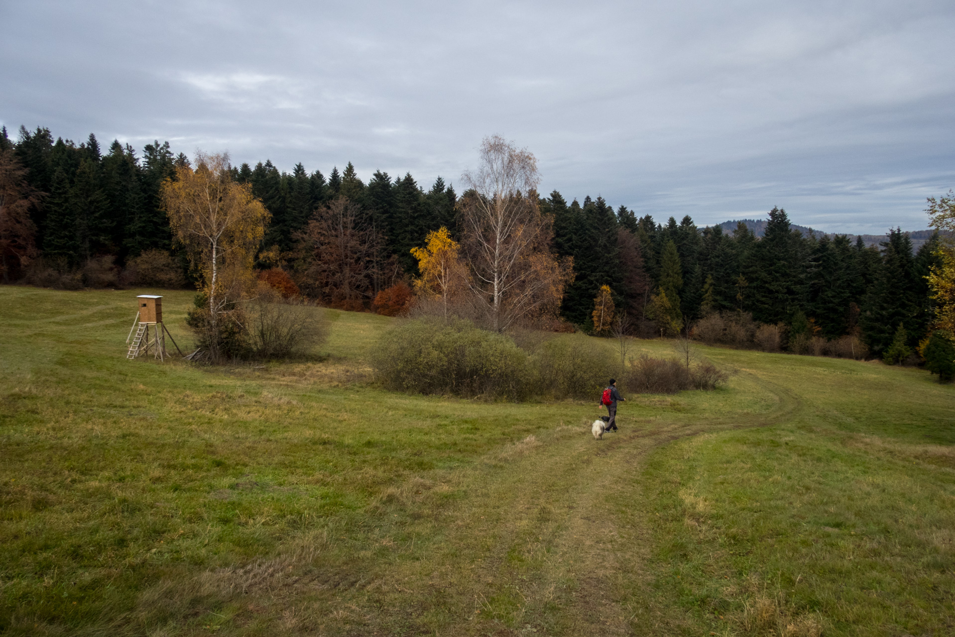 Smrekovica zo Šindliara (Branisko)