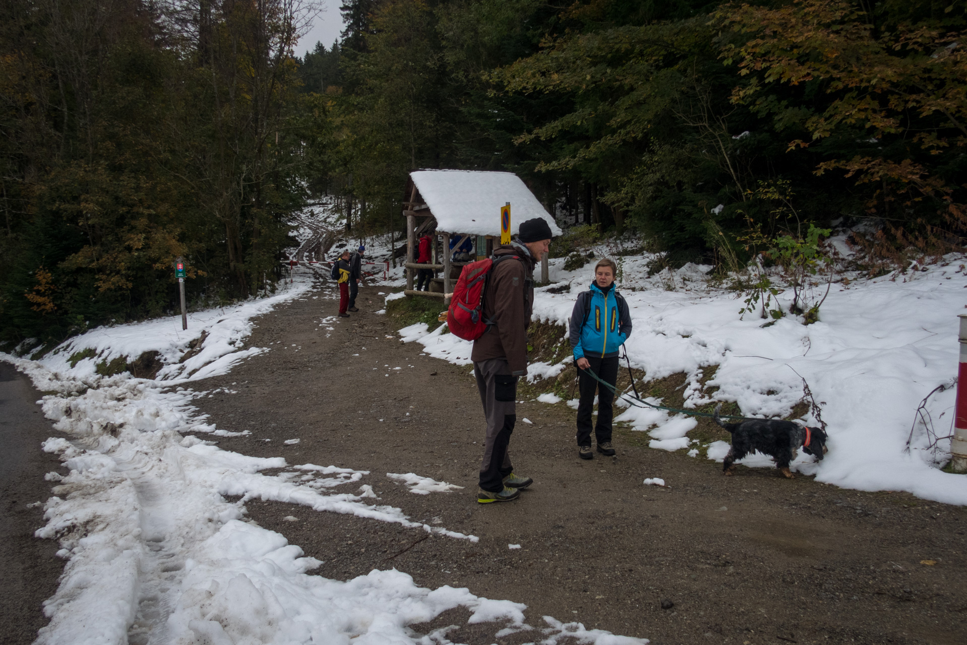 Takmer Sivý vrch (Západné Tatry)