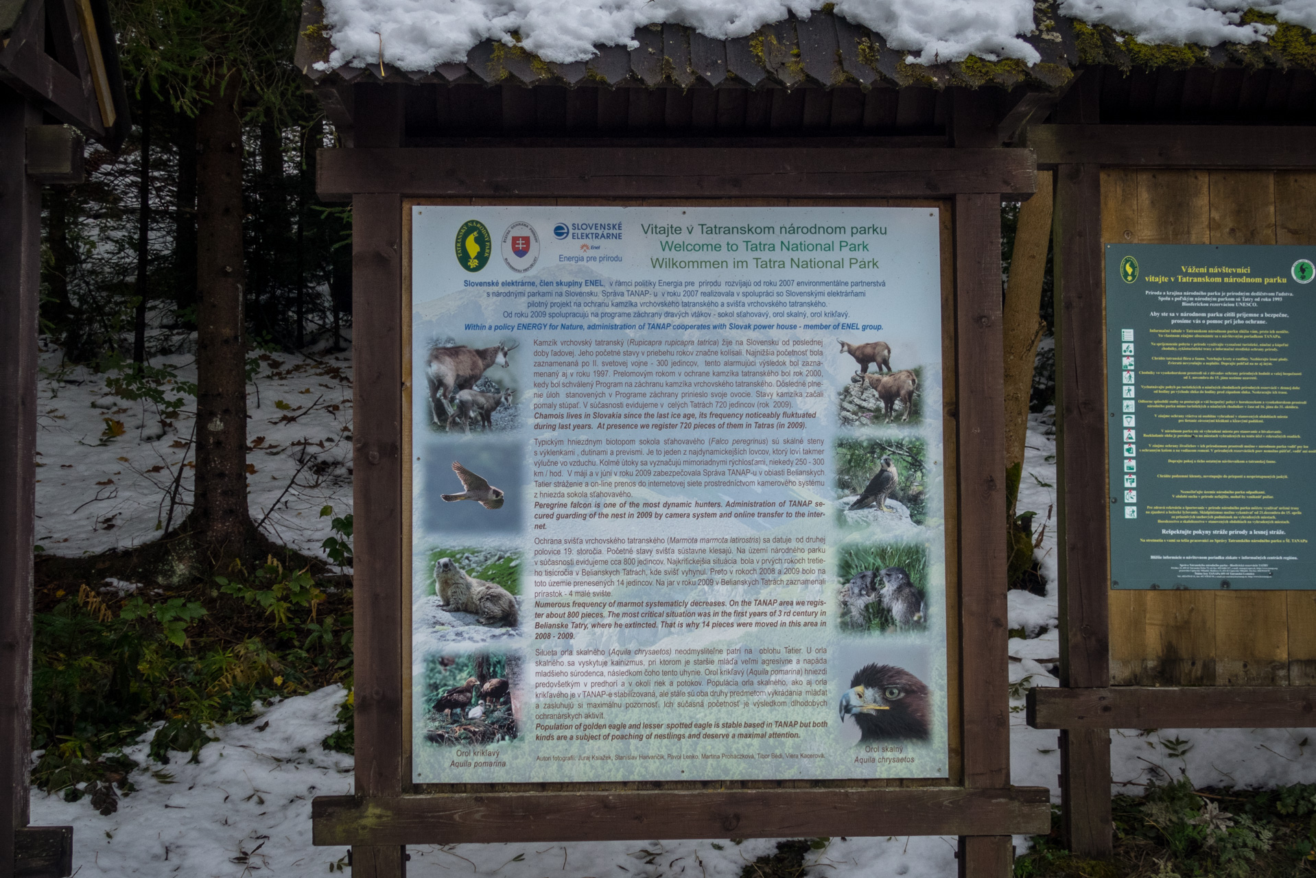 Takmer Sivý vrch (Západné Tatry)