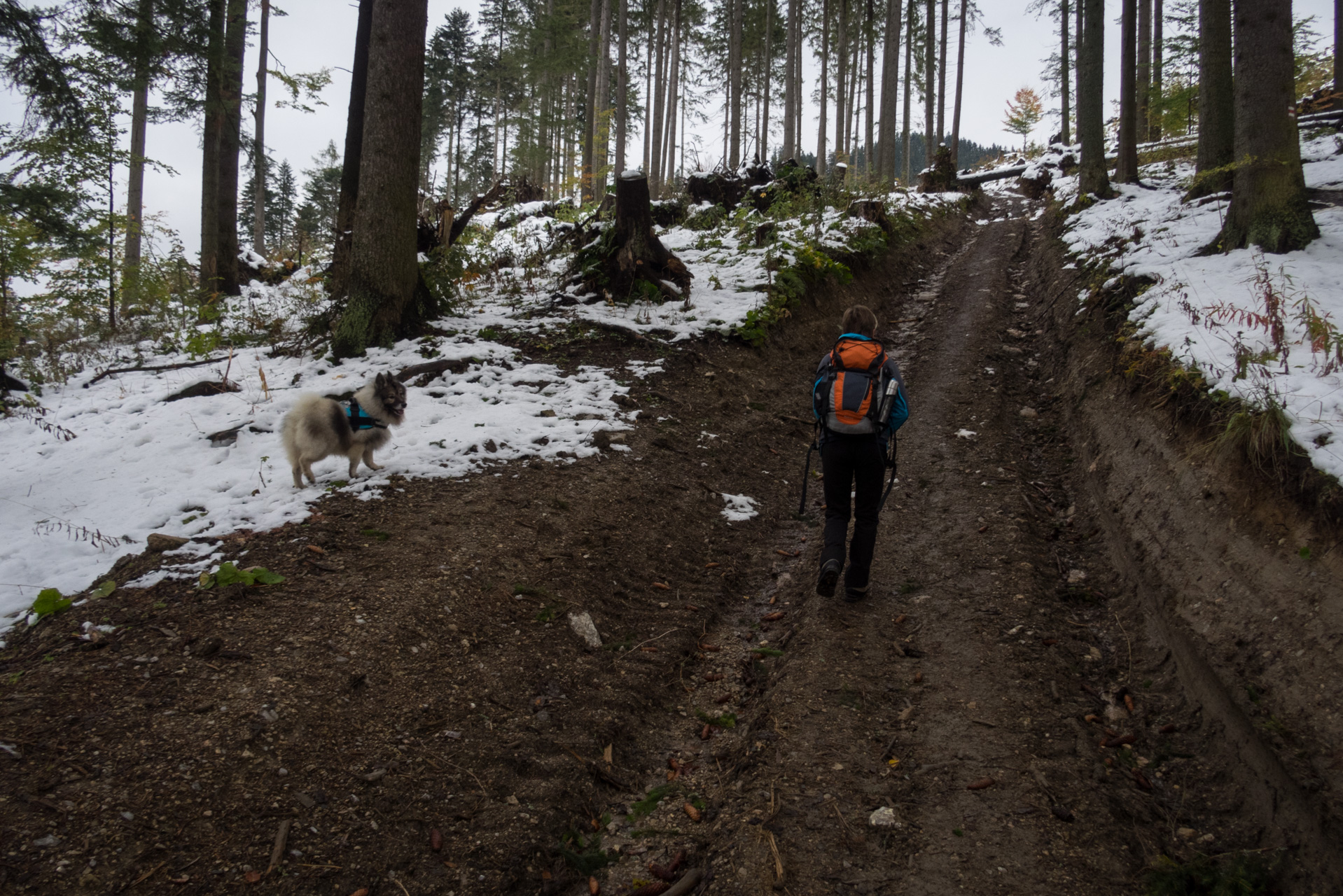 Takmer Sivý vrch (Západné Tatry)