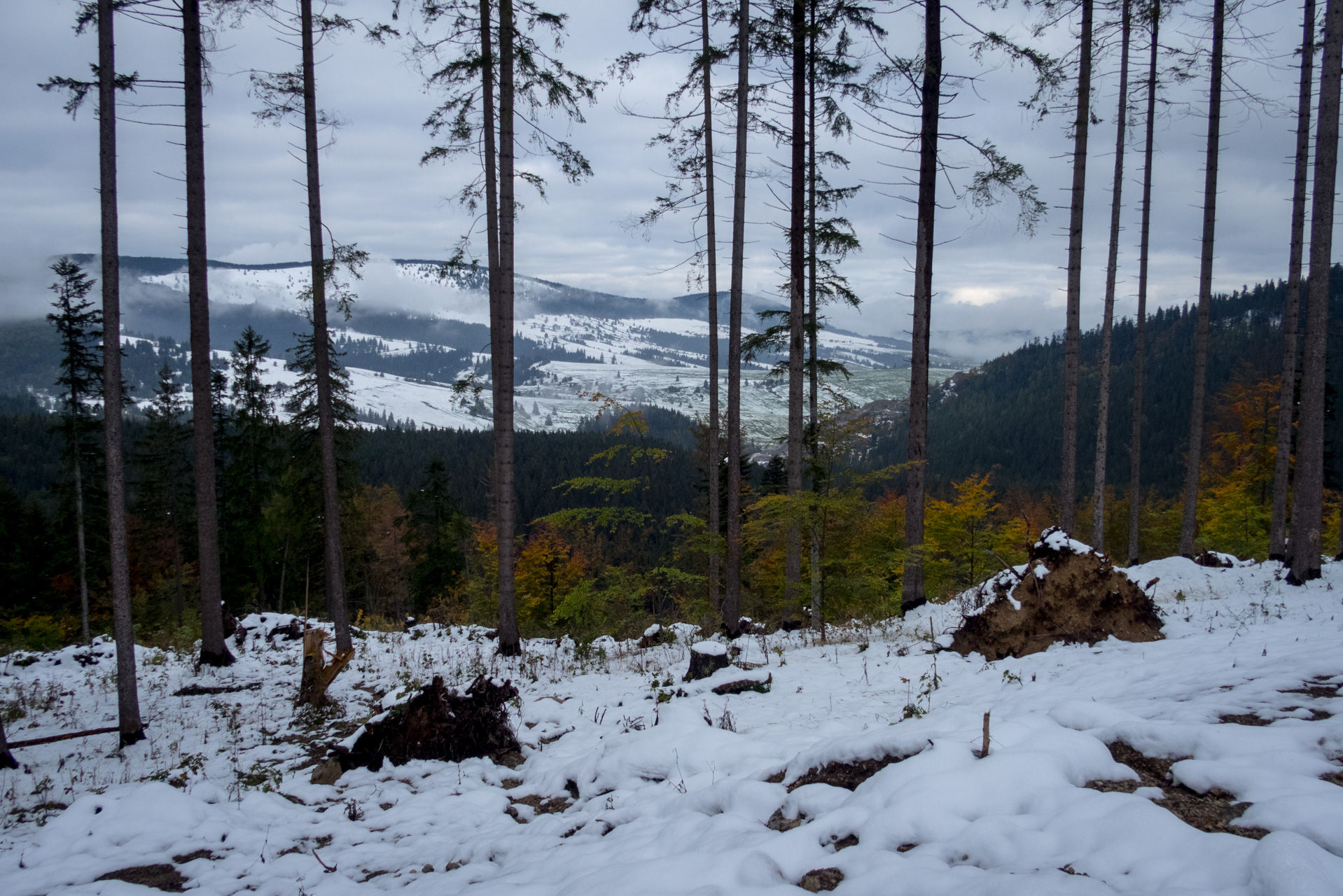 Takmer Sivý vrch (Západné Tatry)