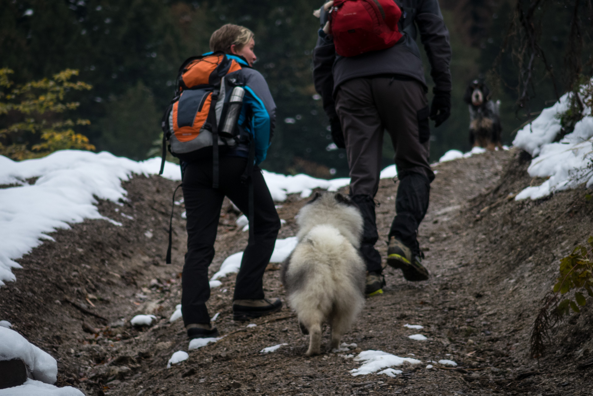 Takmer Sivý vrch (Západné Tatry)