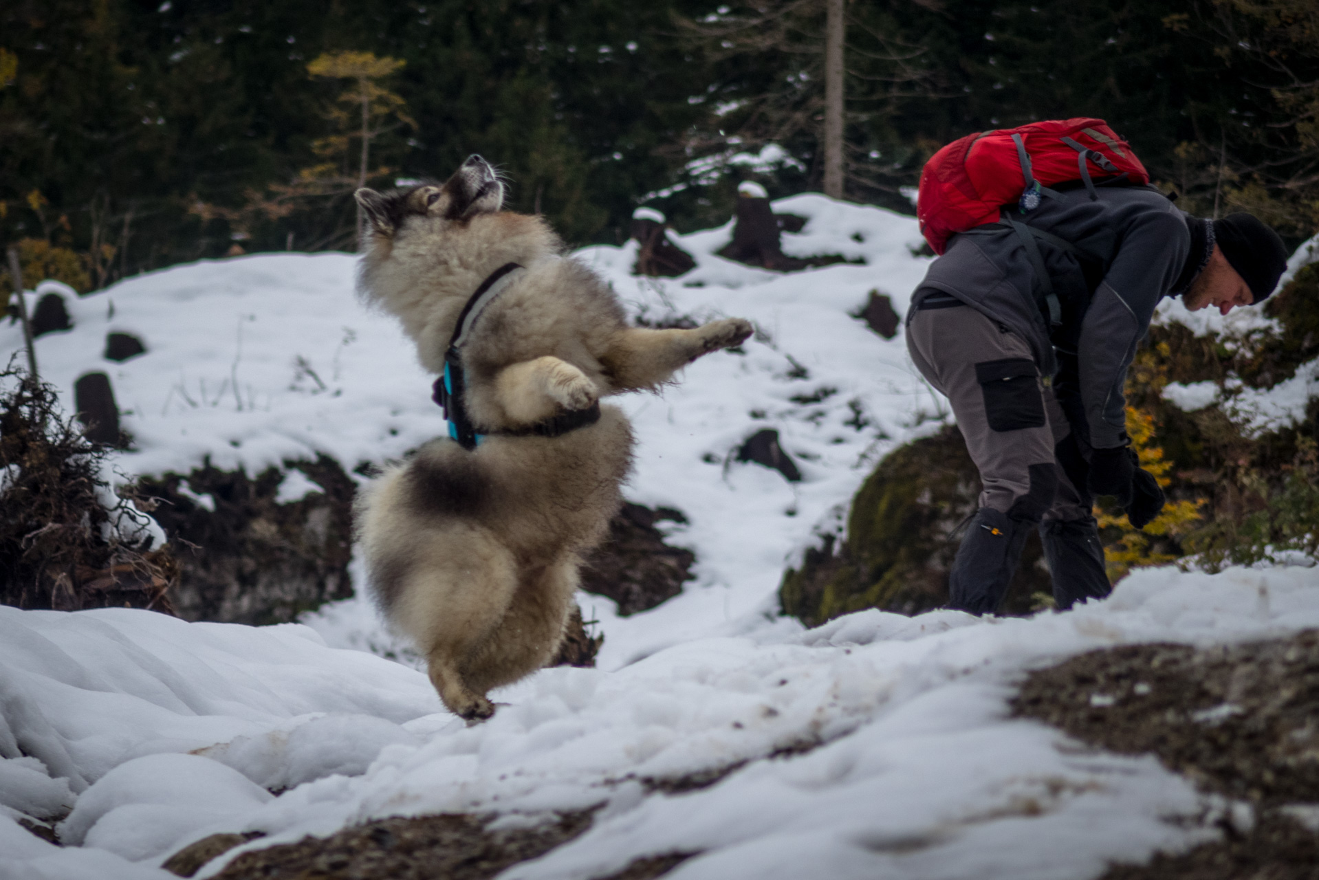 Takmer Sivý vrch (Západné Tatry)