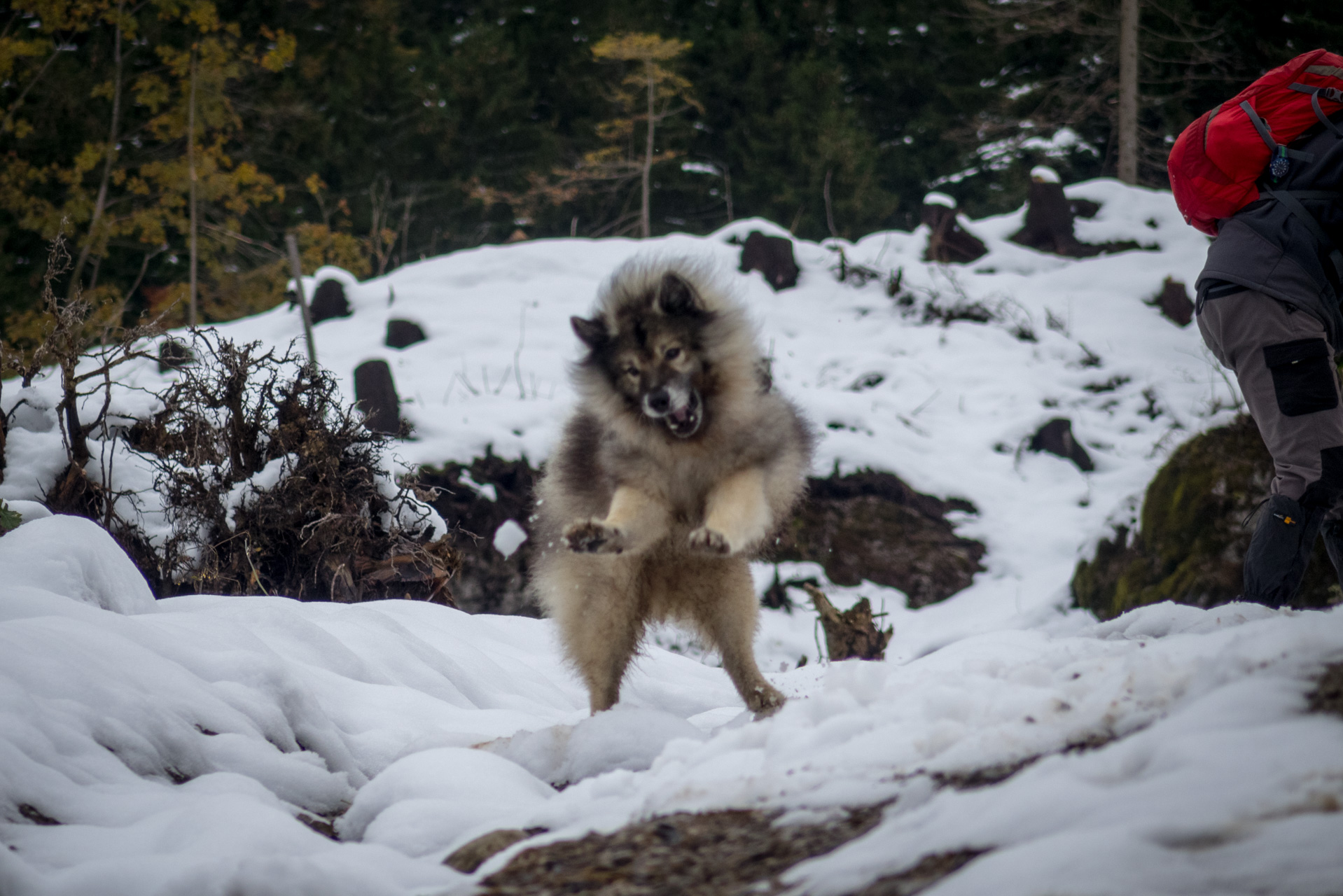 Takmer Sivý vrch (Západné Tatry)