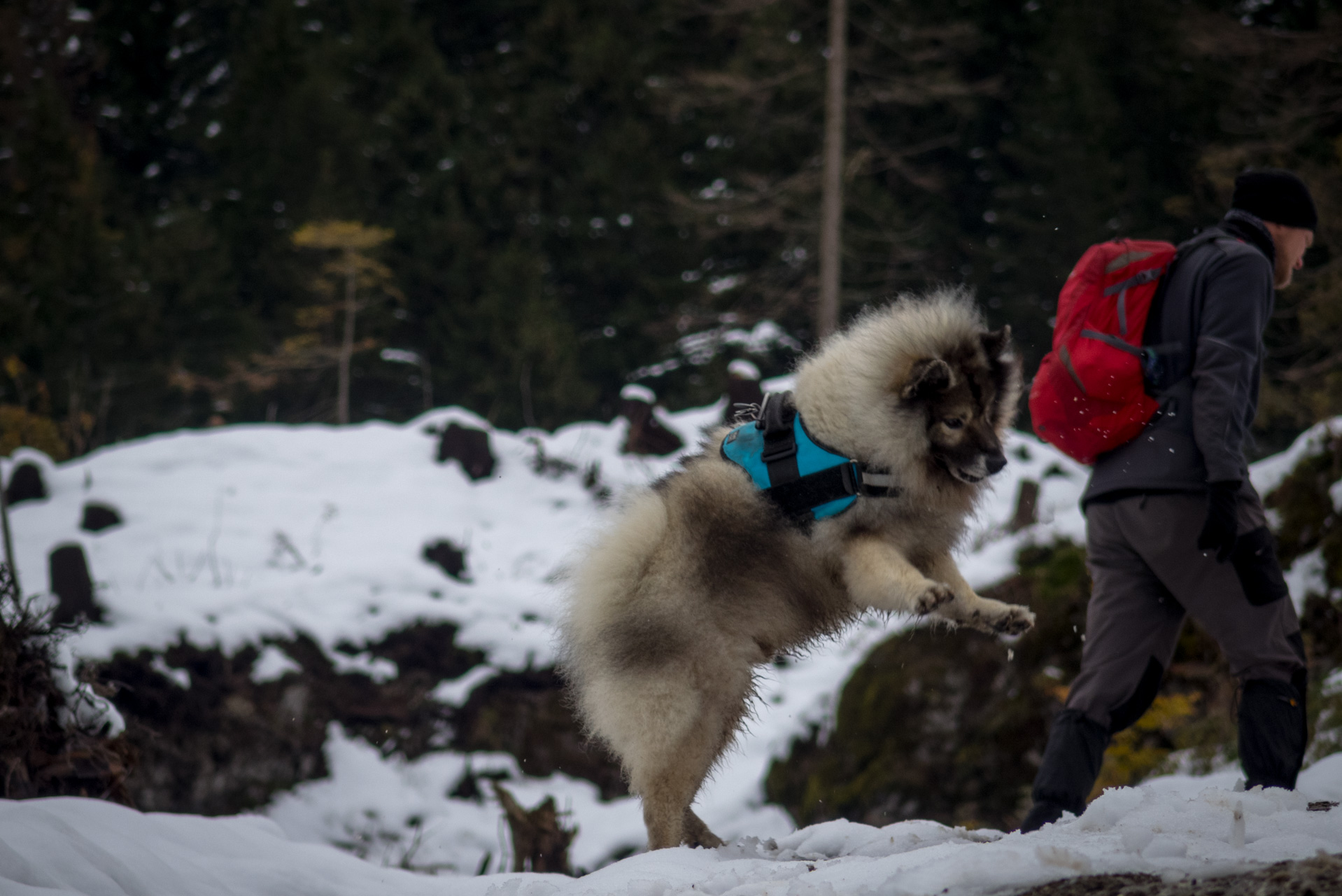 Takmer Sivý vrch (Západné Tatry)