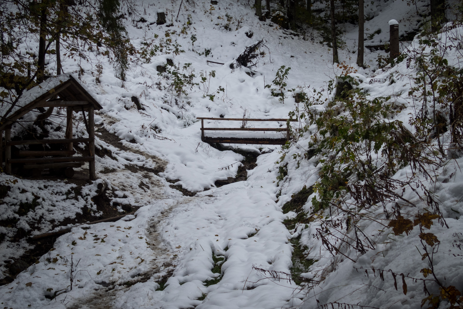 Takmer Sivý vrch (Západné Tatry)