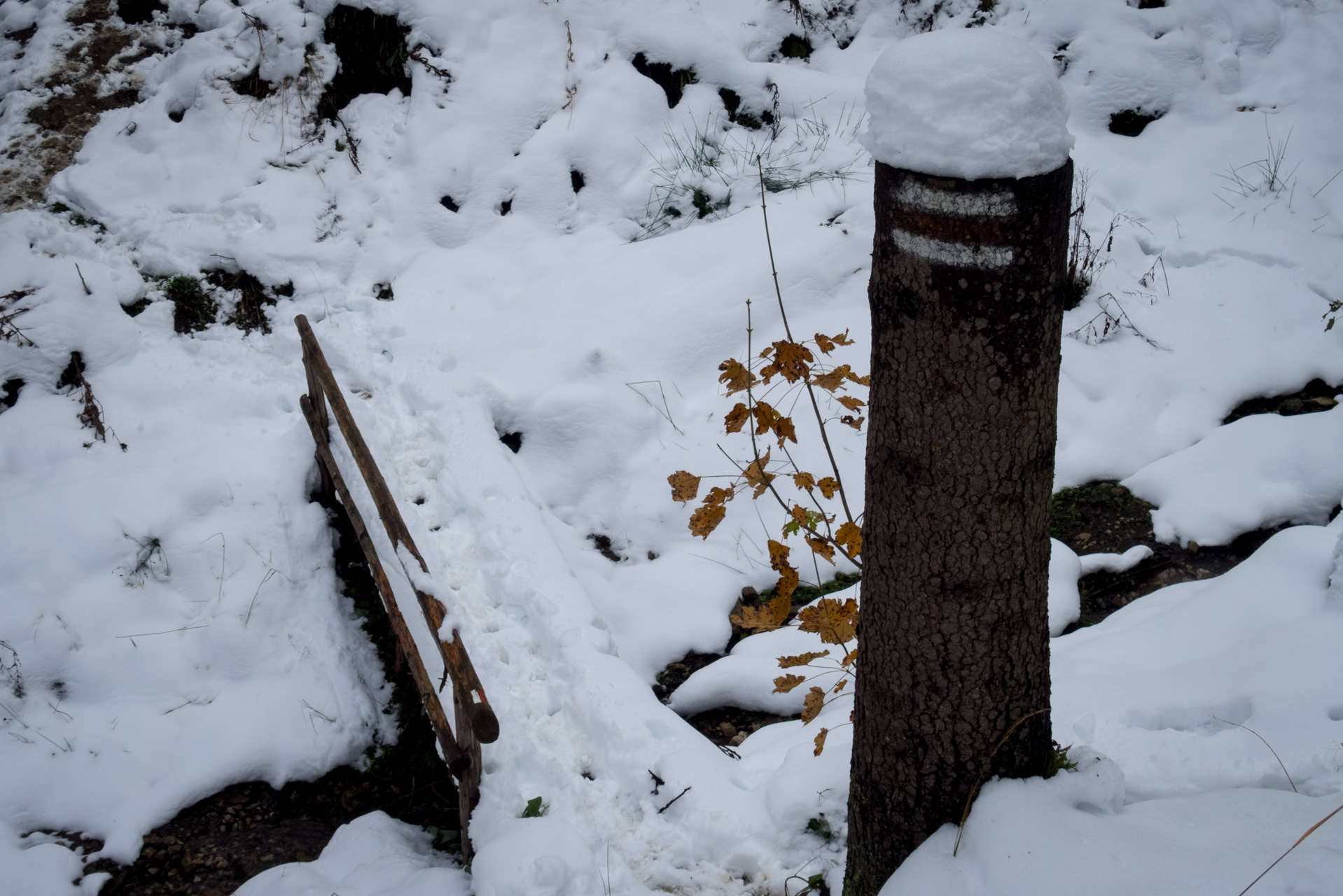 Takmer Sivý vrch (Západné Tatry)