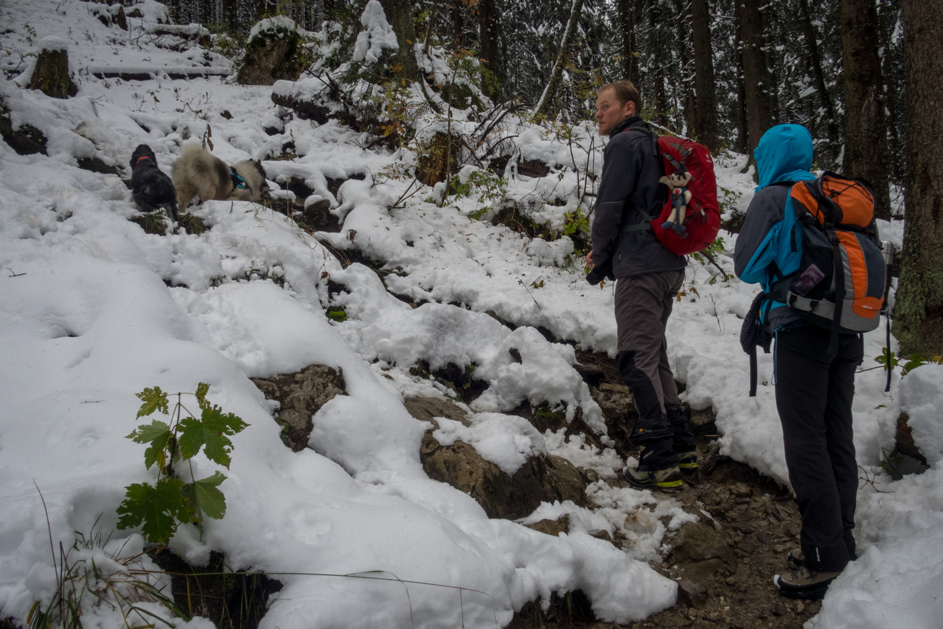 Takmer Sivý vrch (Západné Tatry)