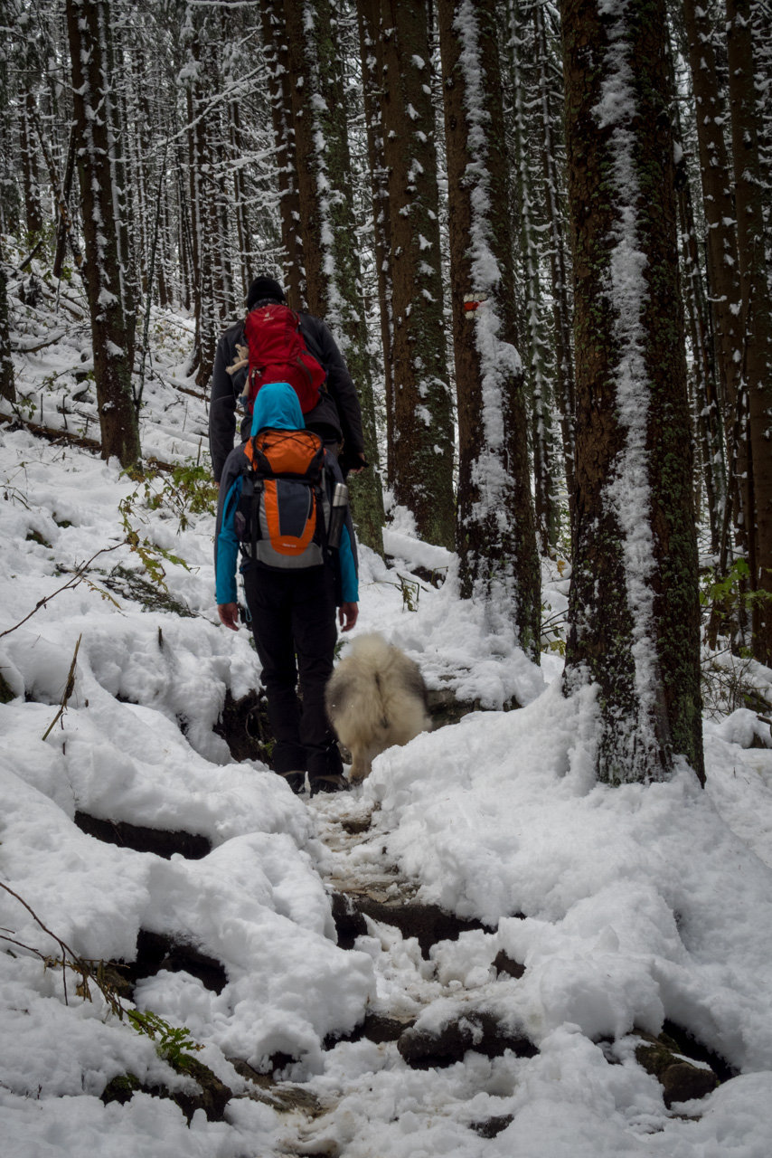 Takmer Sivý vrch (Západné Tatry)