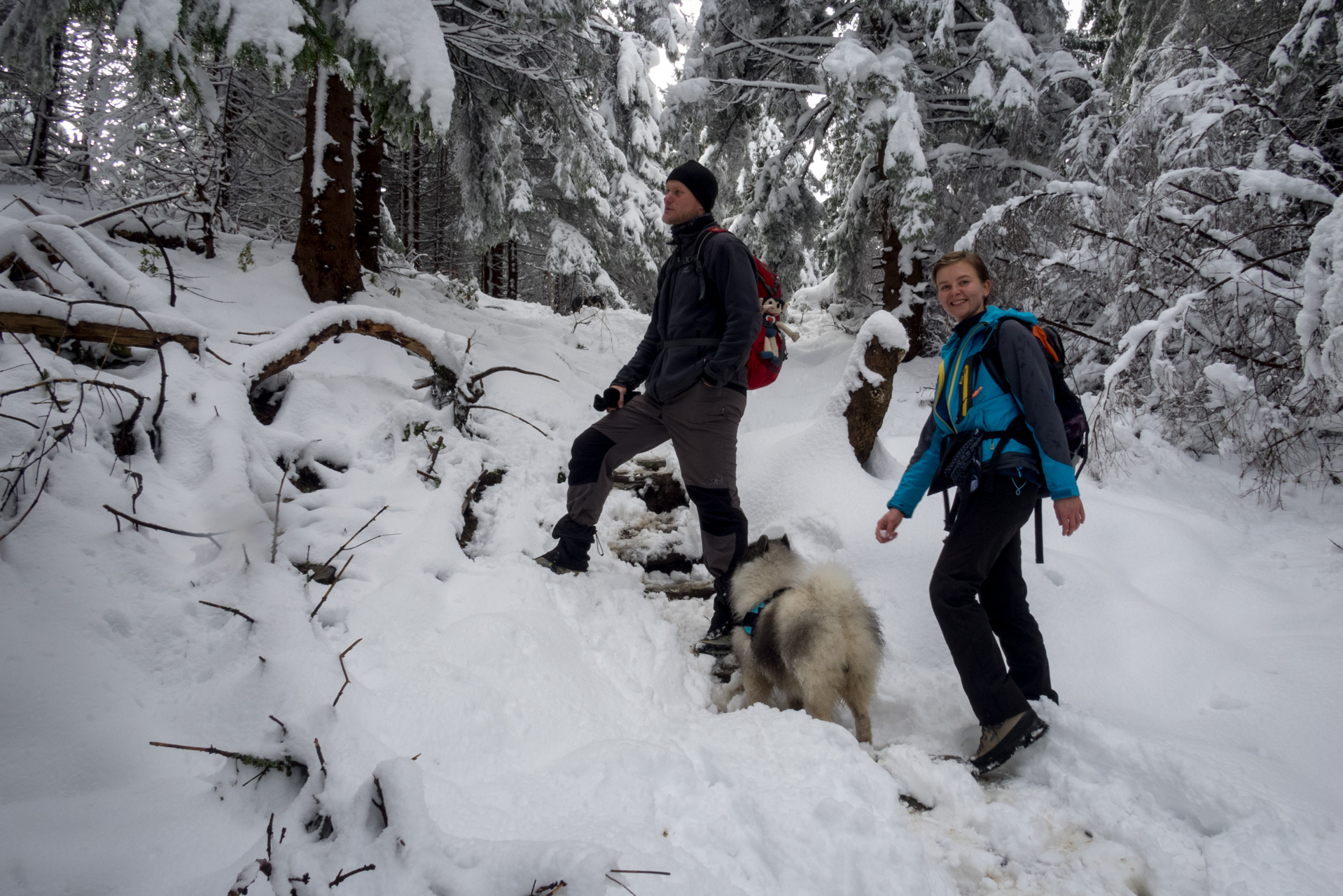 Takmer Sivý vrch (Západné Tatry)