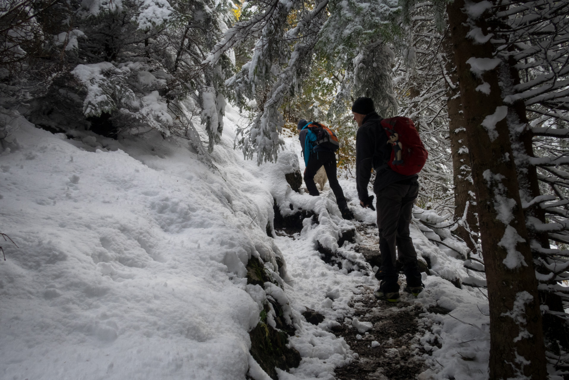 Takmer Sivý vrch (Západné Tatry)