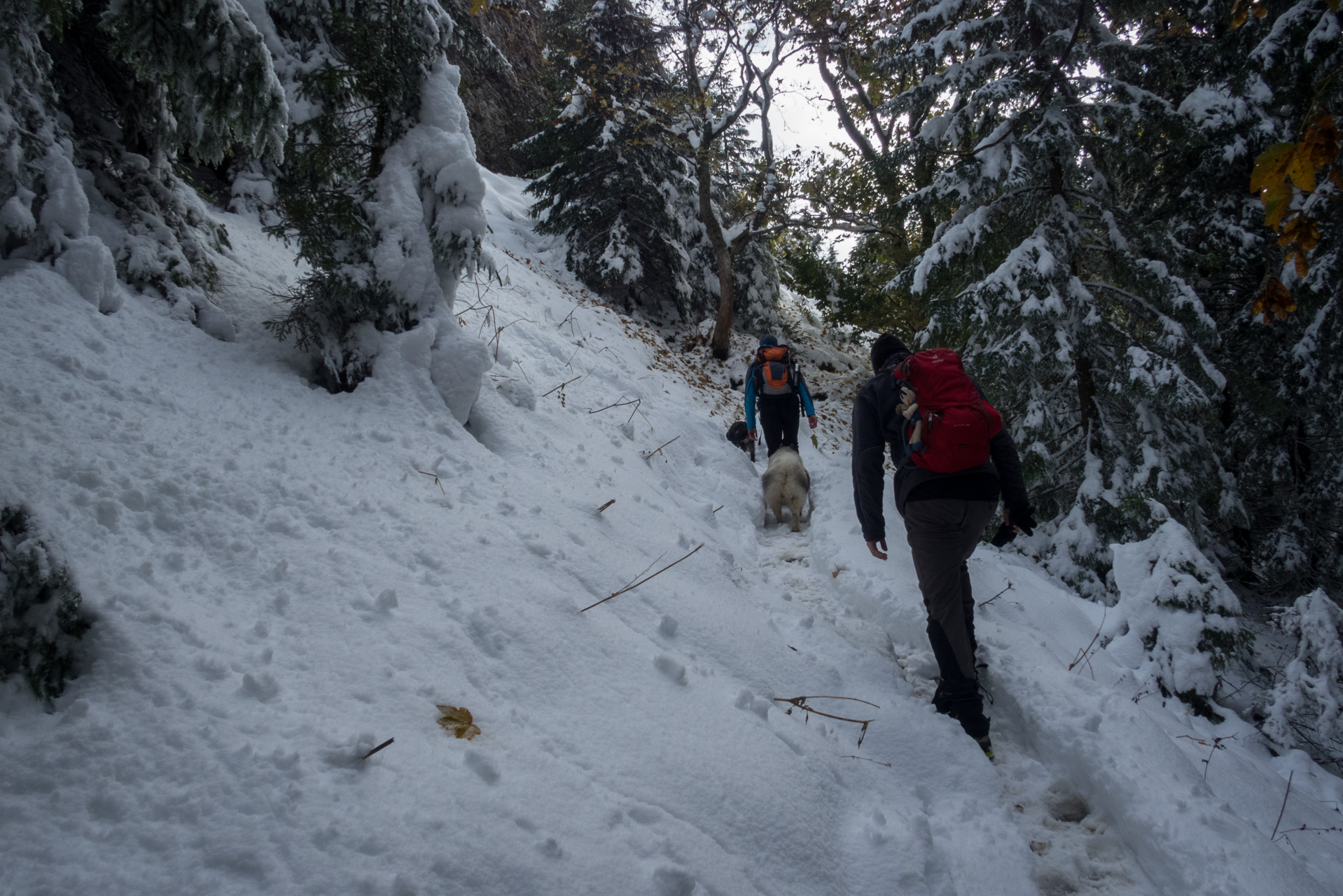 Takmer Sivý vrch (Západné Tatry)