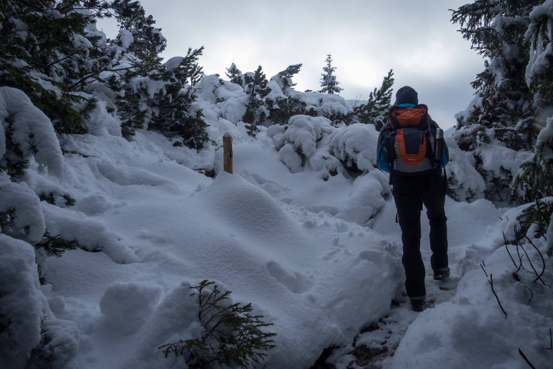 Takmer Sivý vrch (Západné Tatry)