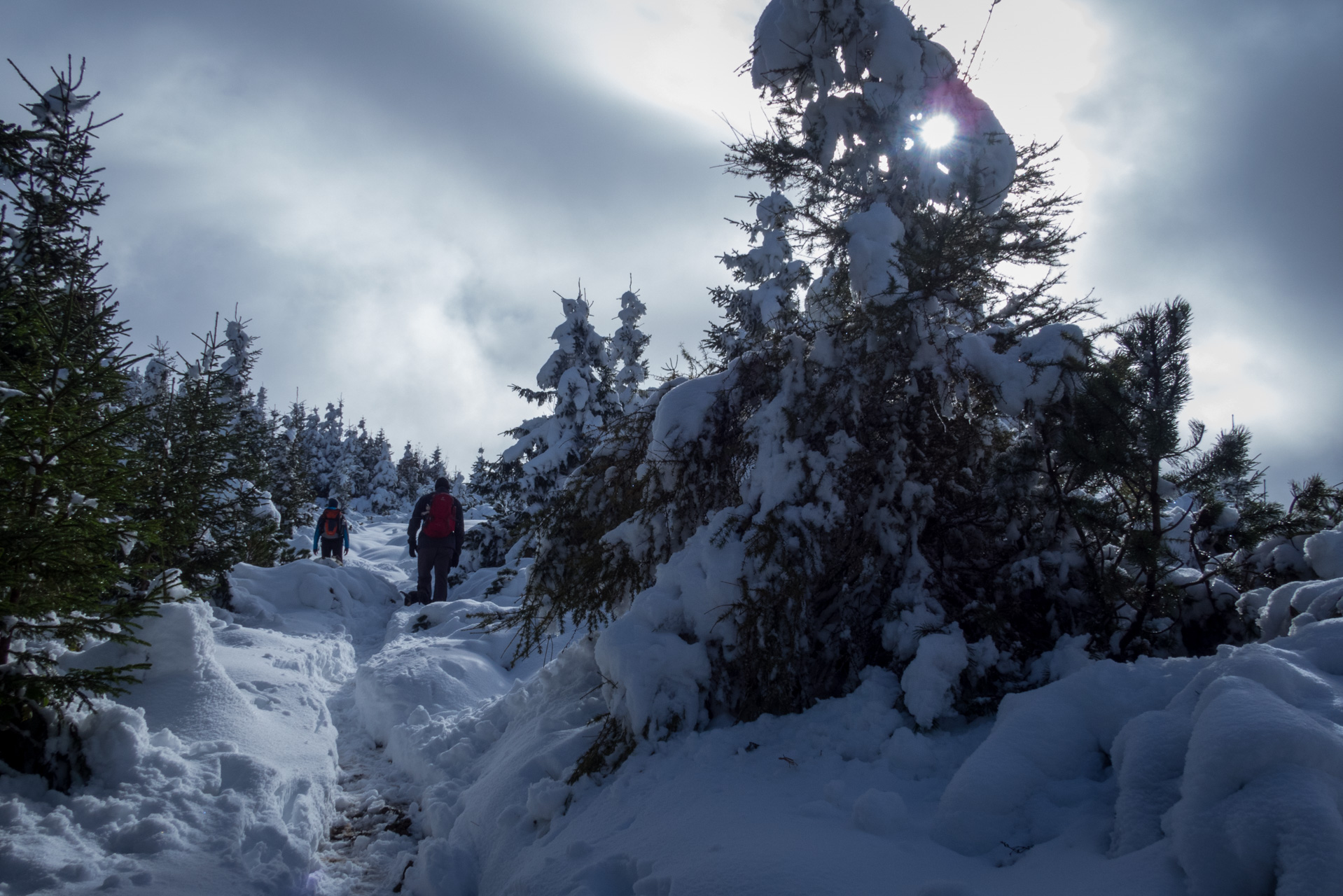 Takmer Sivý vrch (Západné Tatry)