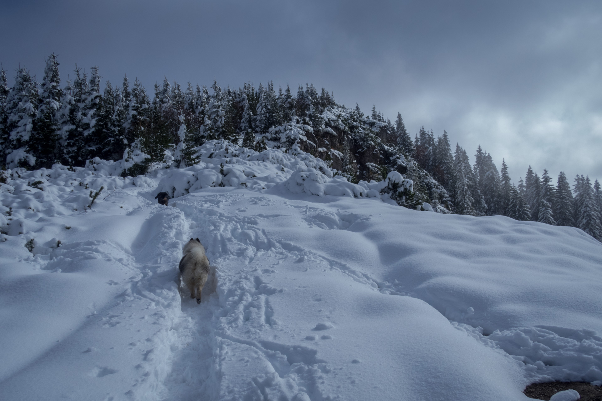 Takmer Sivý vrch (Západné Tatry)