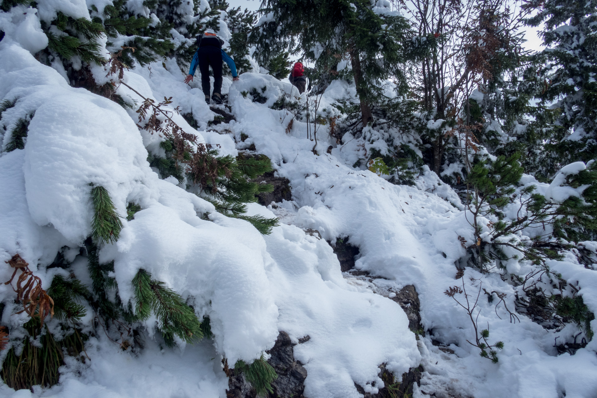 Takmer Sivý vrch (Západné Tatry)