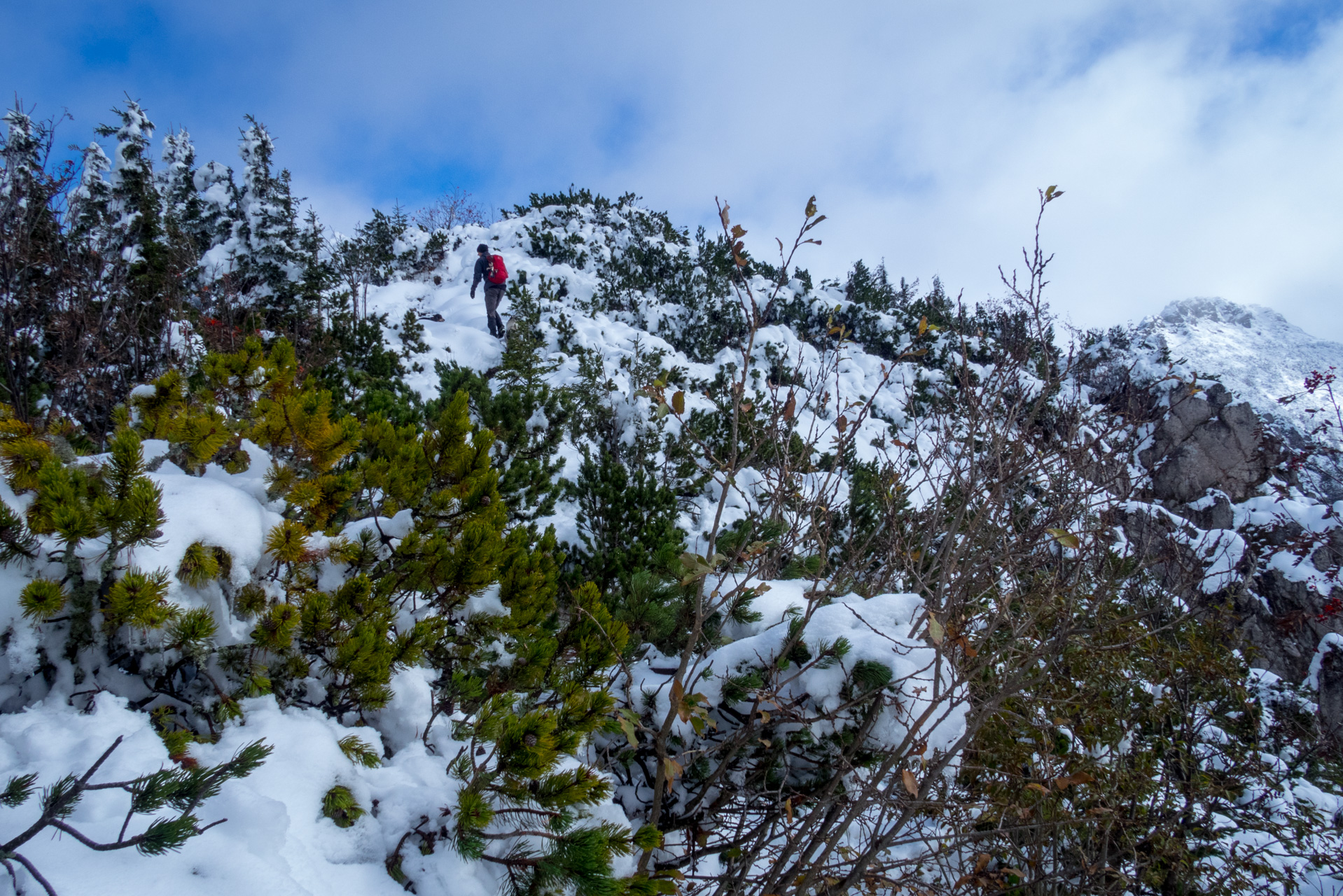 Takmer Sivý vrch (Západné Tatry)