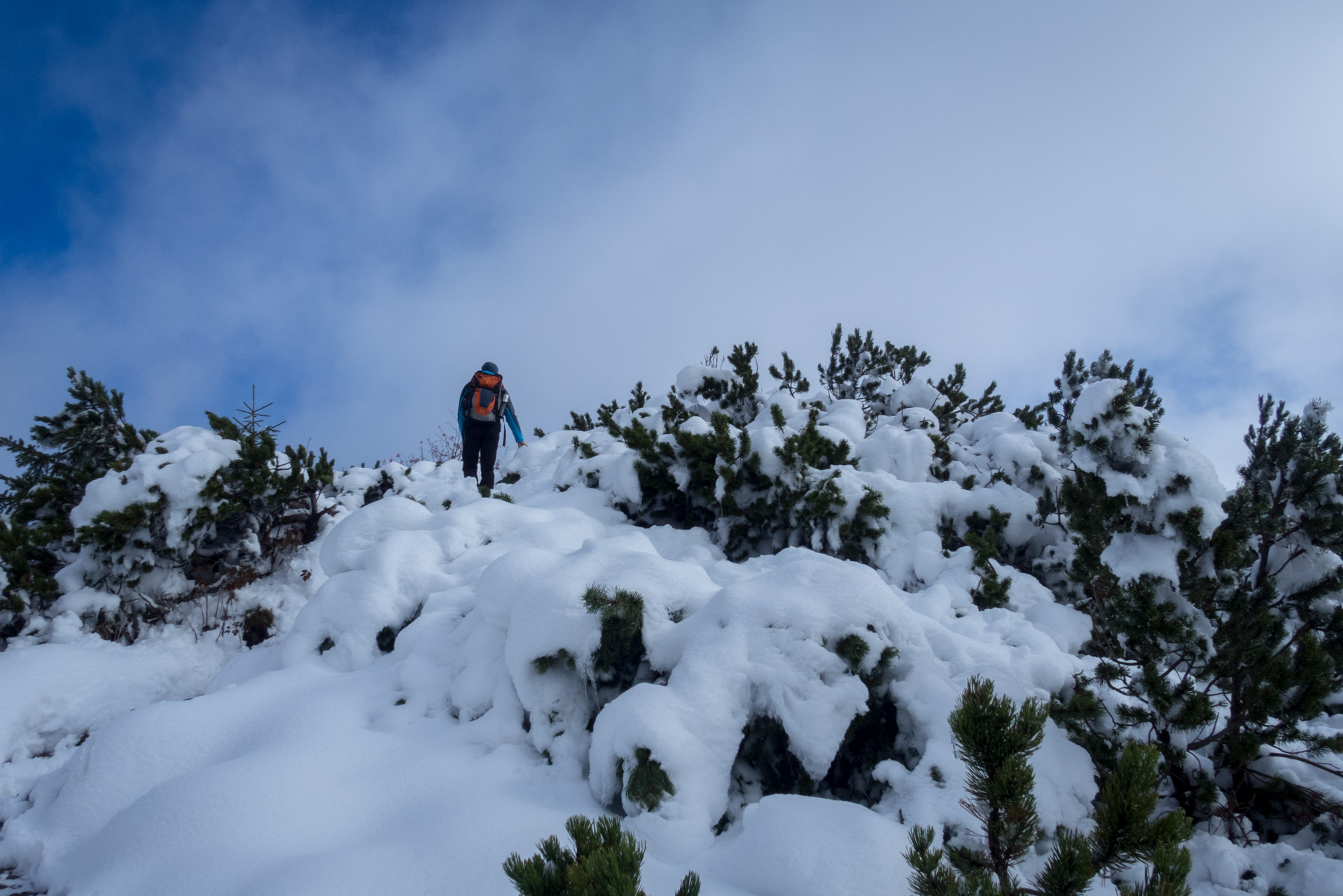 Takmer Sivý vrch (Západné Tatry)