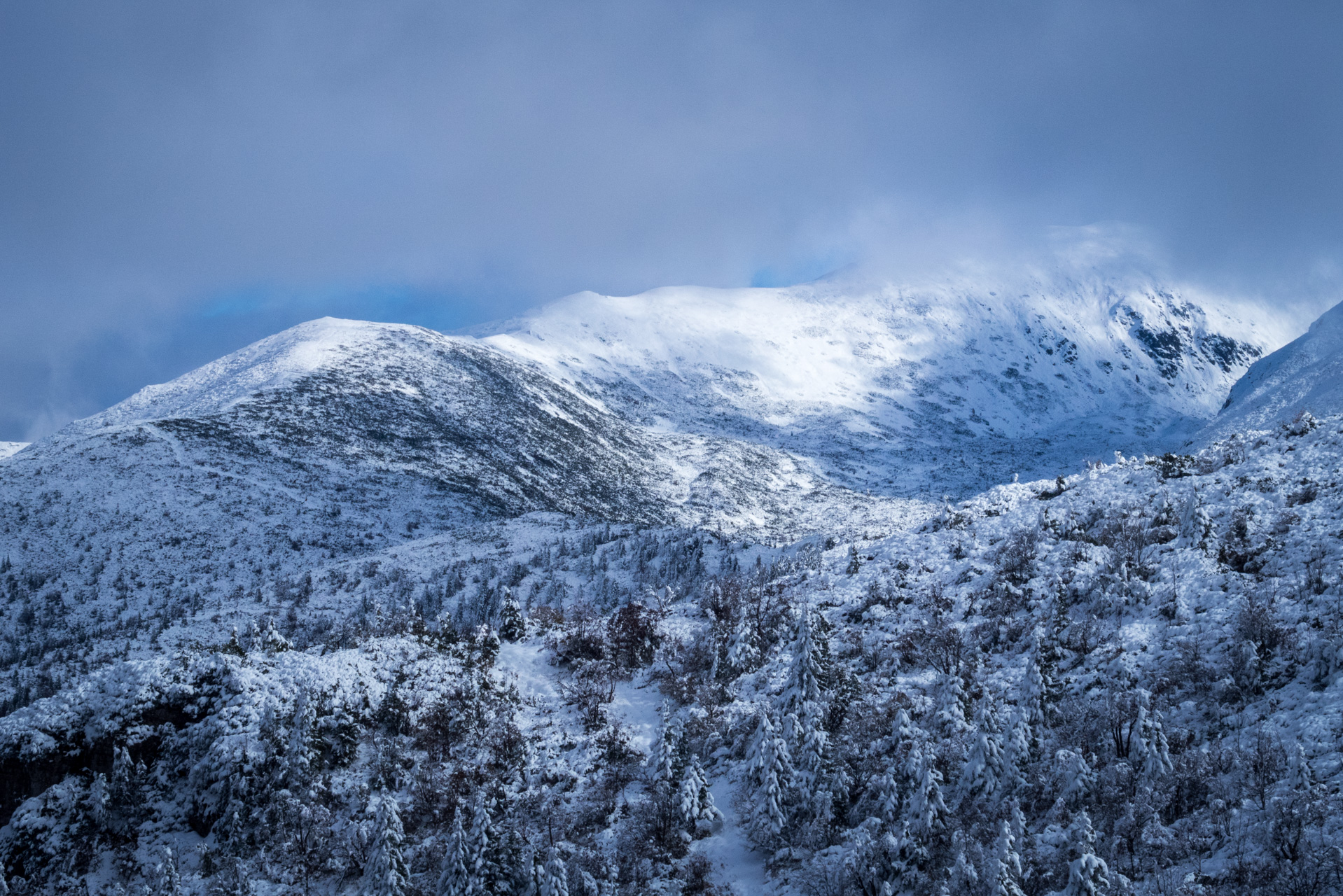 Takmer Sivý vrch (Západné Tatry)