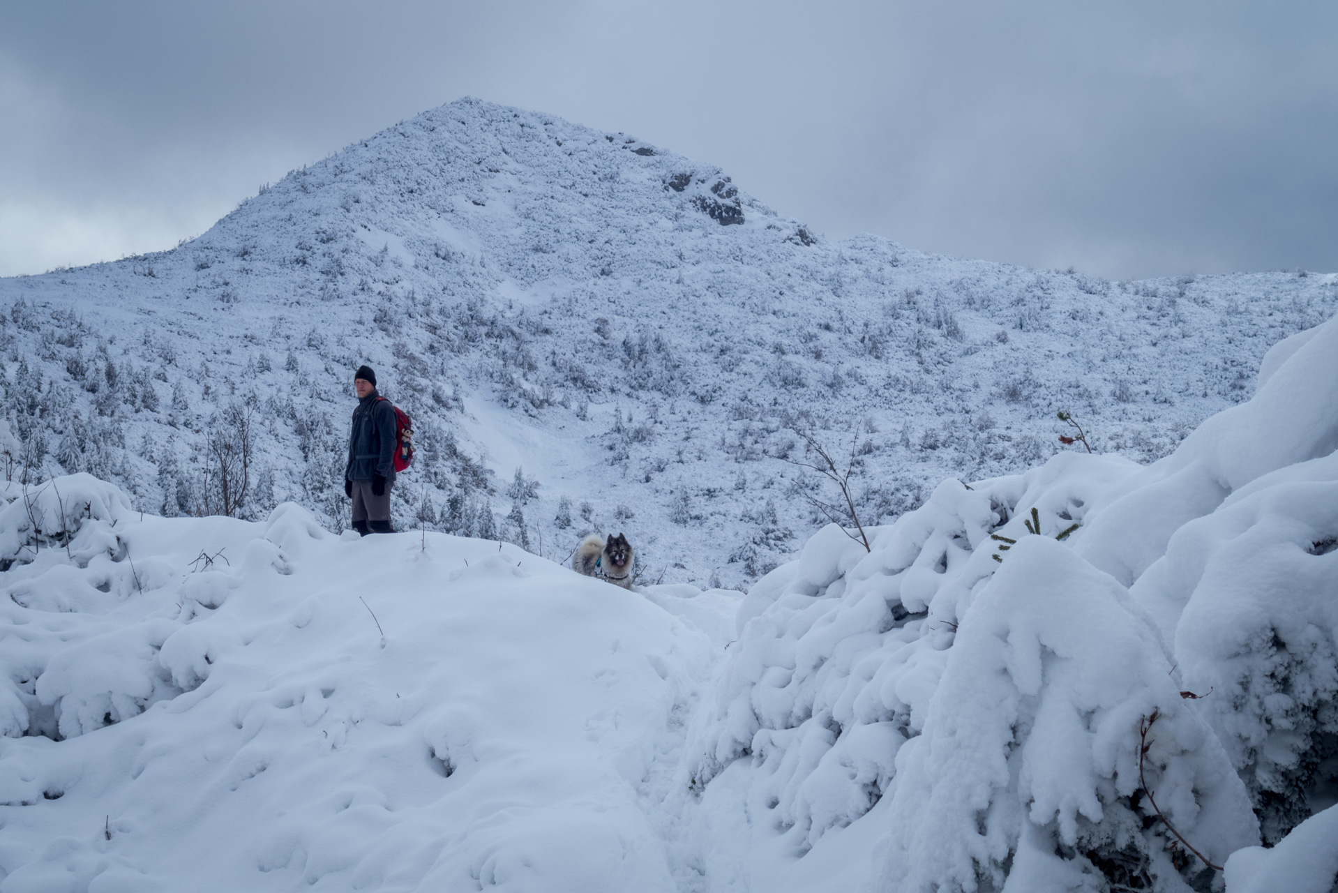 Takmer Sivý vrch (Západné Tatry)