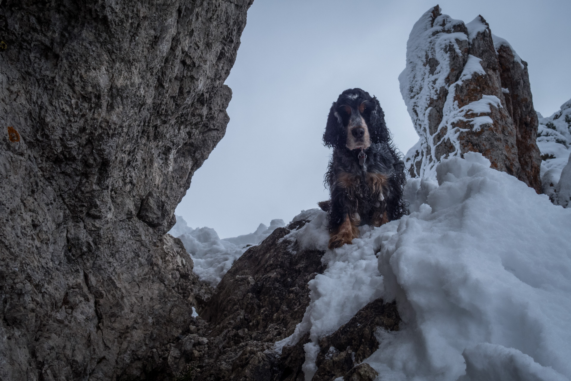 Takmer Sivý vrch (Západné Tatry)