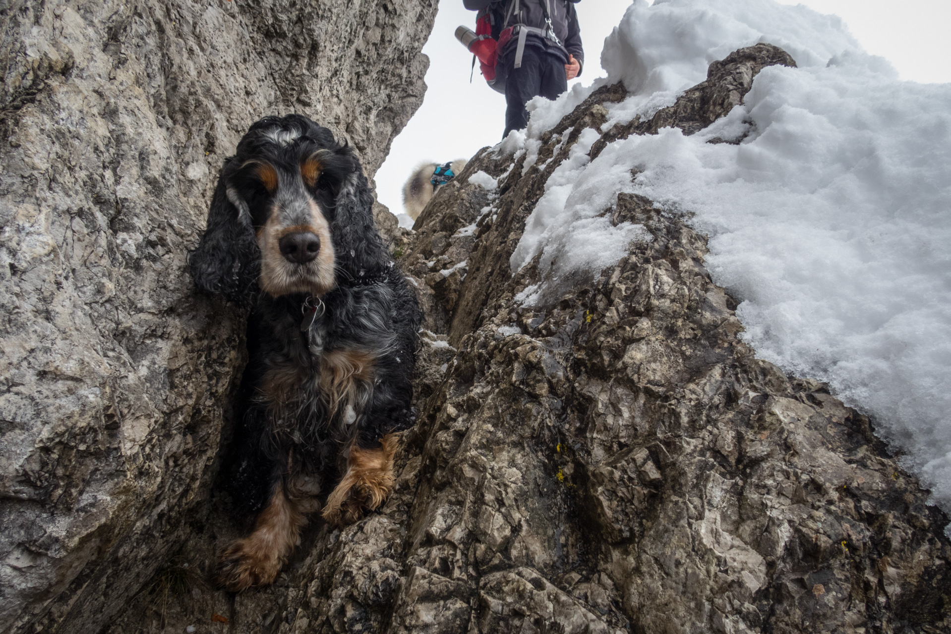 Takmer Sivý vrch (Západné Tatry)