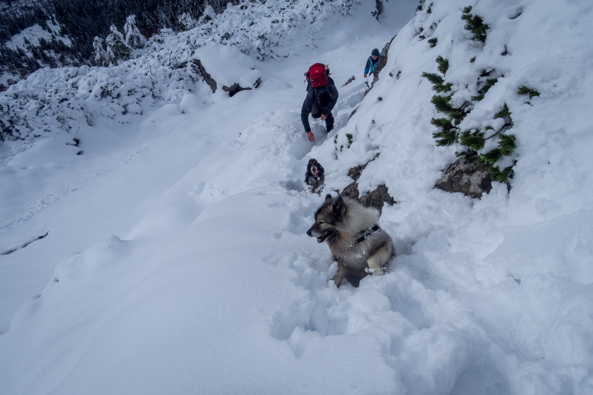 Takmer Sivý vrch (Západné Tatry)