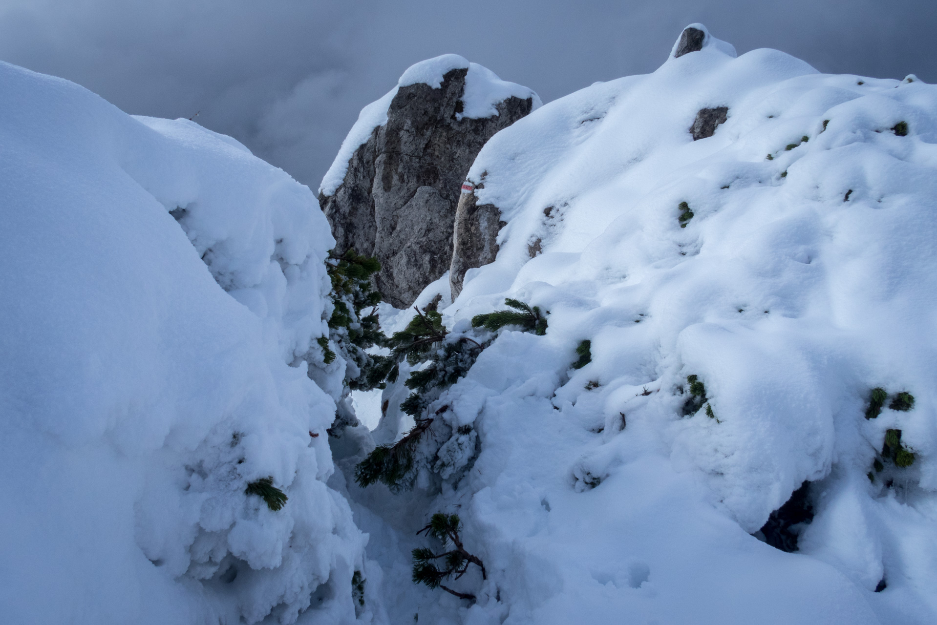 Takmer Sivý vrch (Západné Tatry)