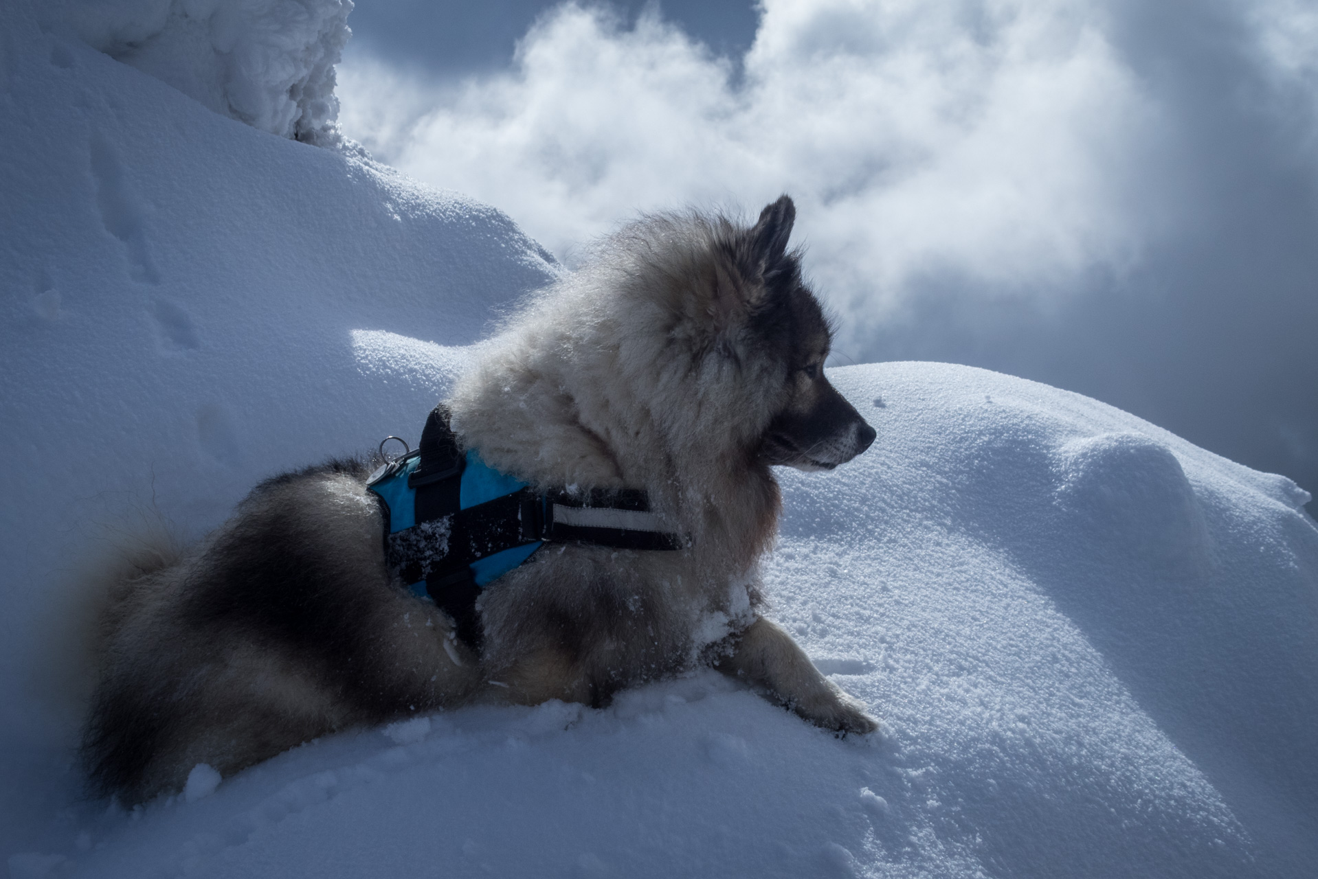 Takmer Sivý vrch (Západné Tatry)