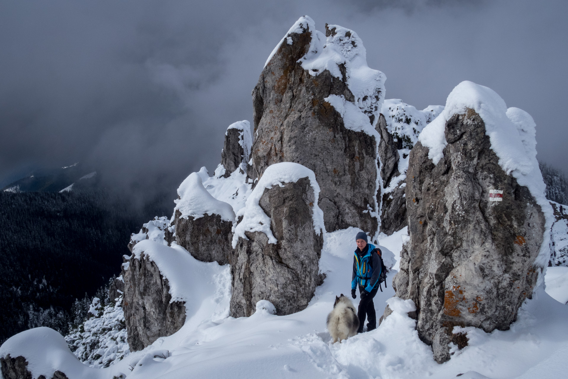 Takmer Sivý vrch (Západné Tatry)