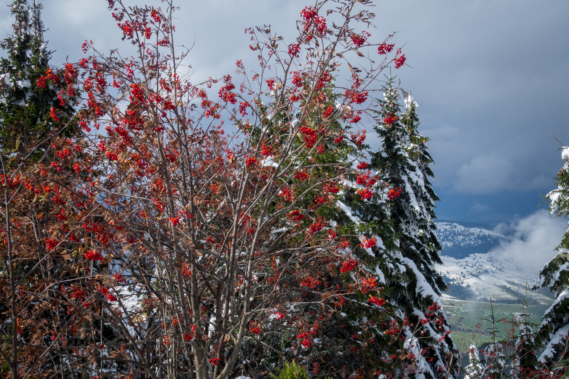 Takmer Sivý vrch (Západné Tatry)