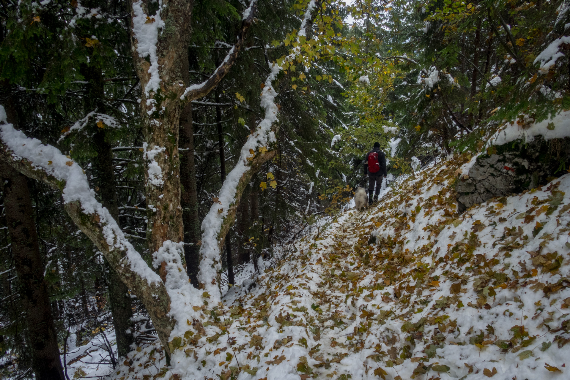 Takmer Sivý vrch (Západné Tatry)