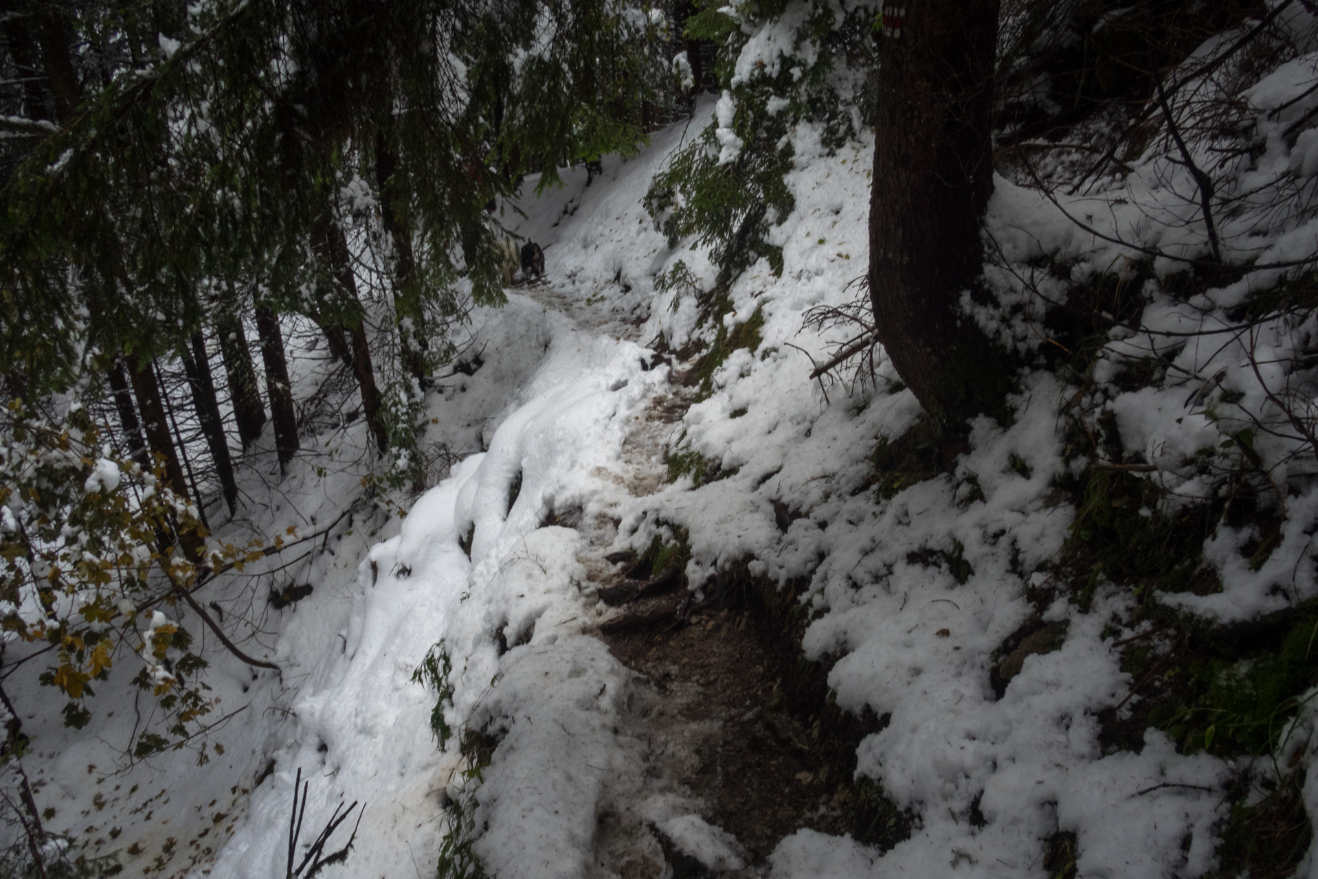 Takmer Sivý vrch (Západné Tatry)