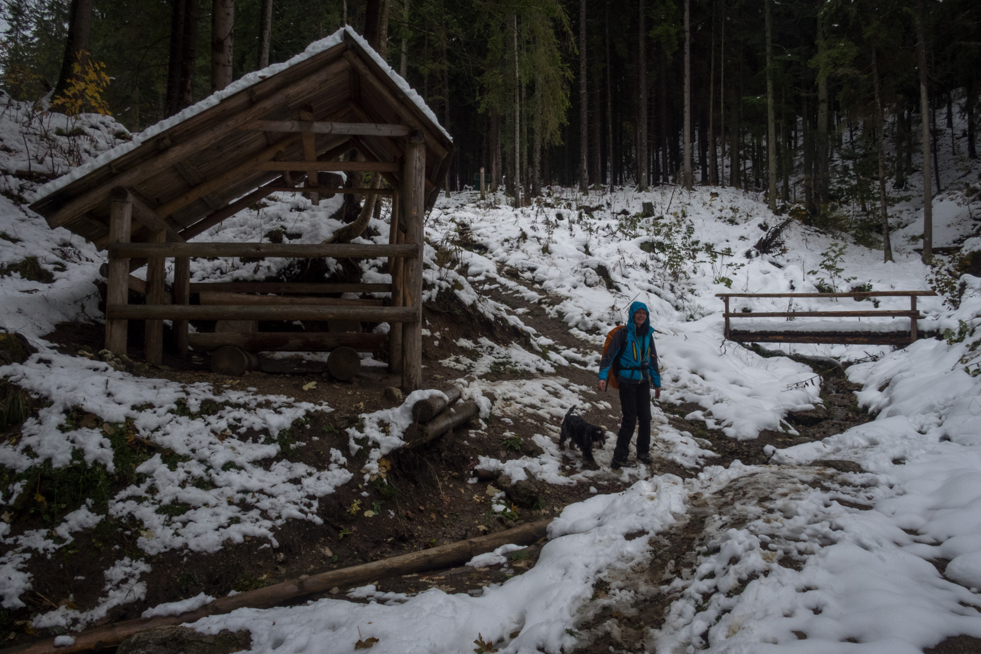 Takmer Sivý vrch (Západné Tatry)