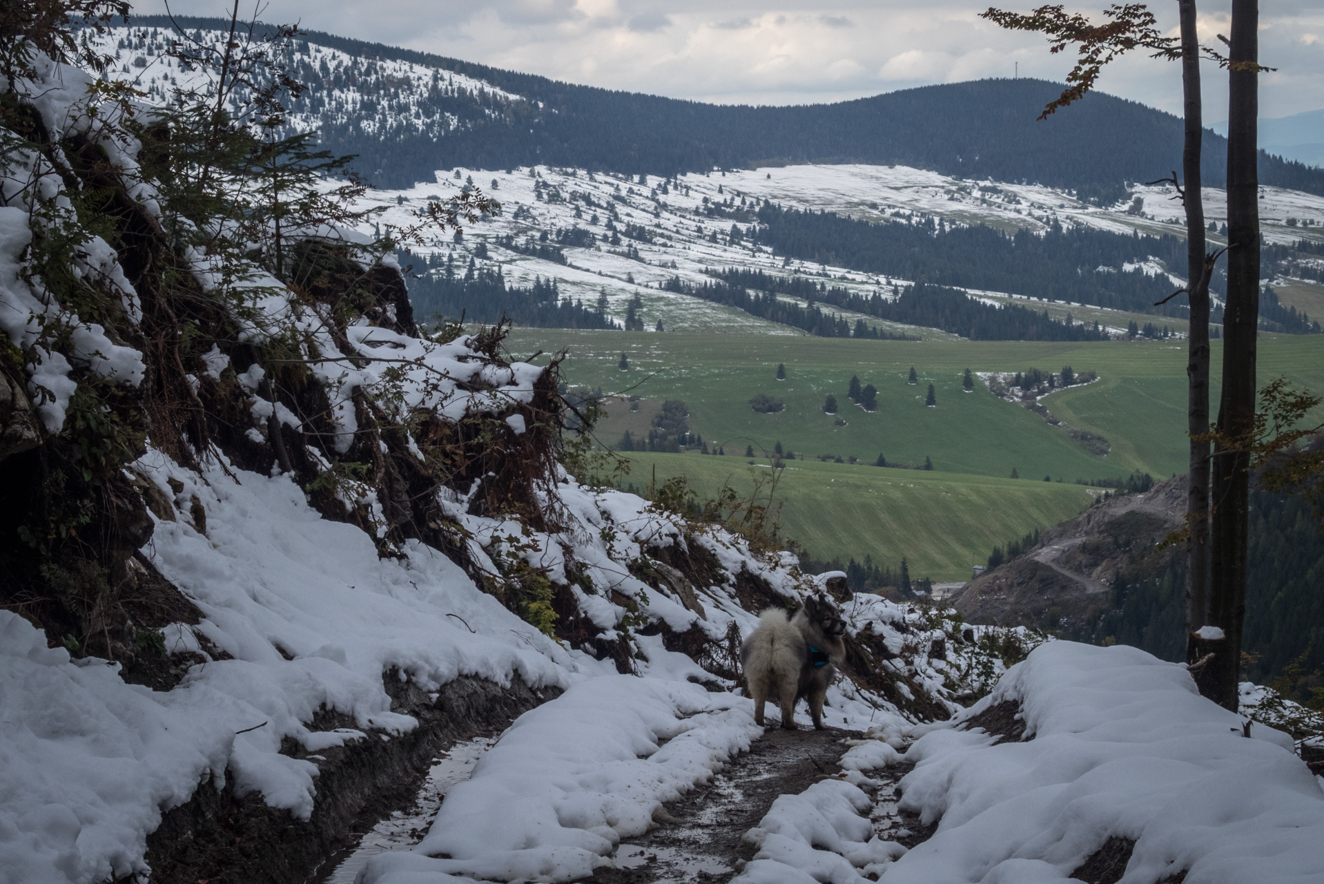 Takmer Sivý vrch (Západné Tatry)