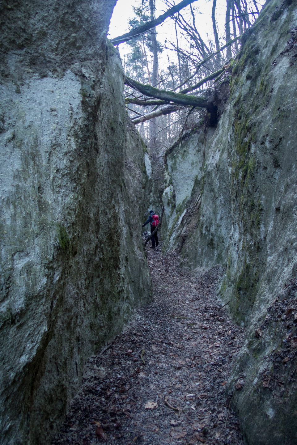 Tufový kaňon z Ploského (Slanské vrchy)