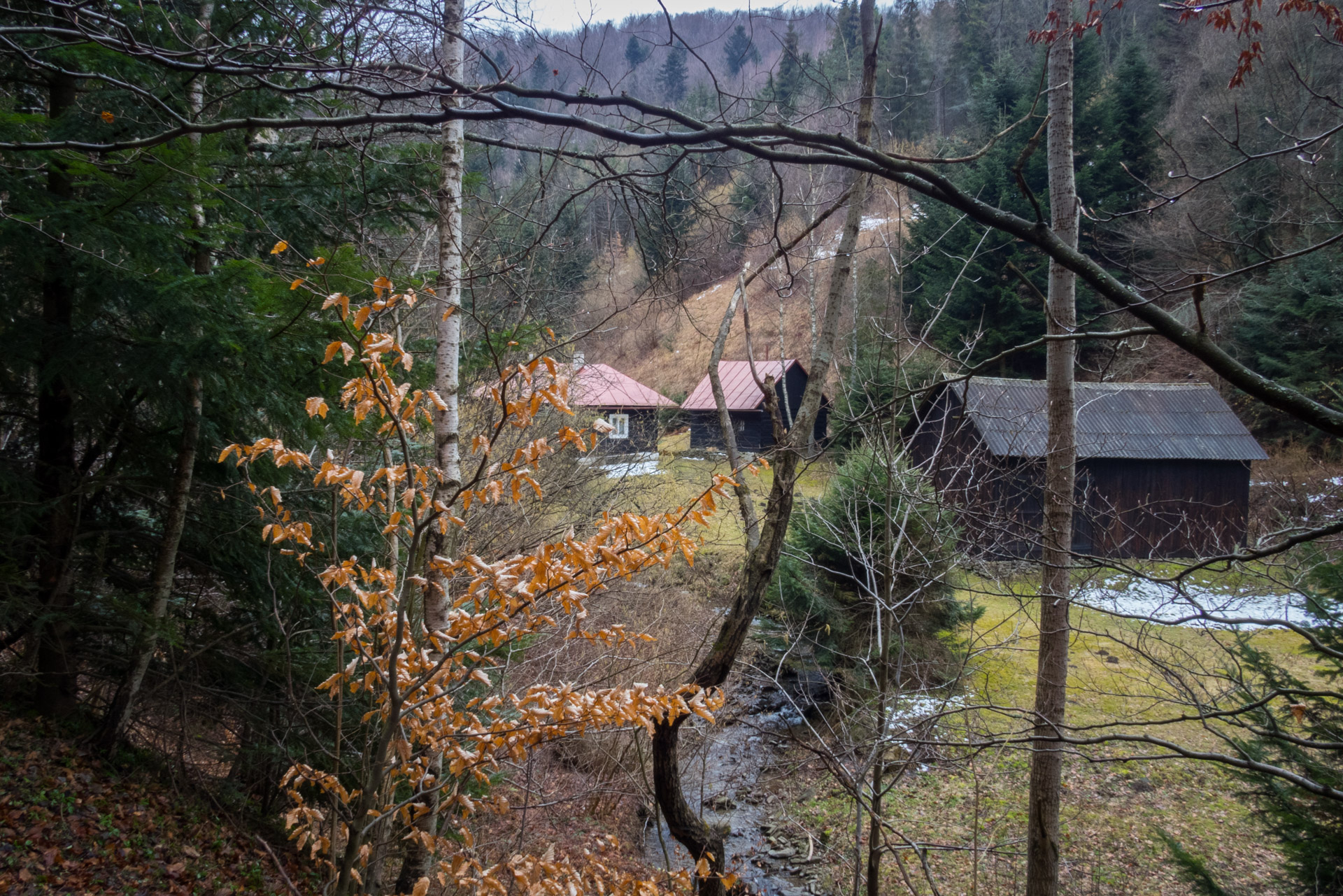 Veľká Javorina cez Čergov z Majdanu (Čergov)