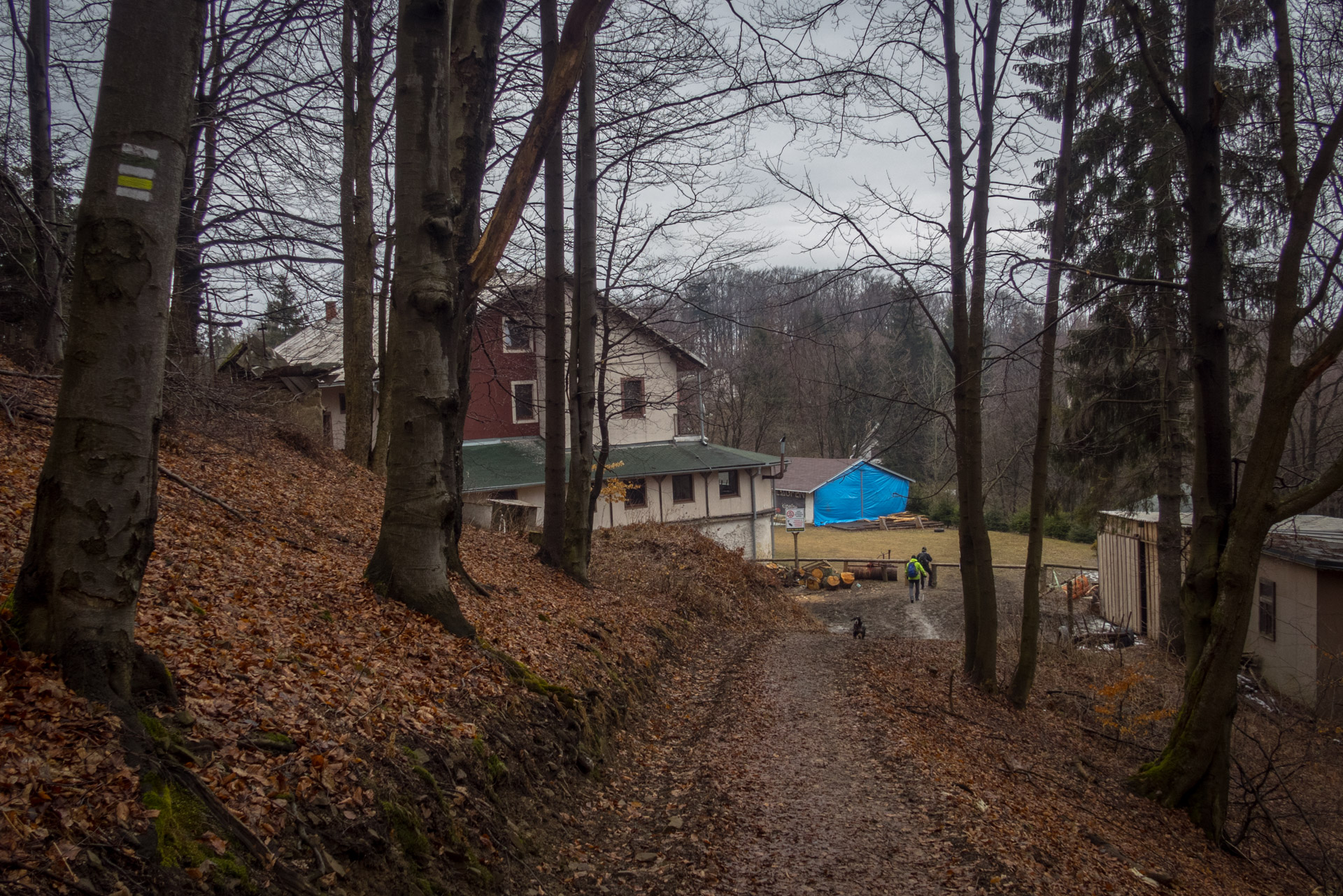 Veľká Javorina cez Čergov z Majdanu (Čergov)