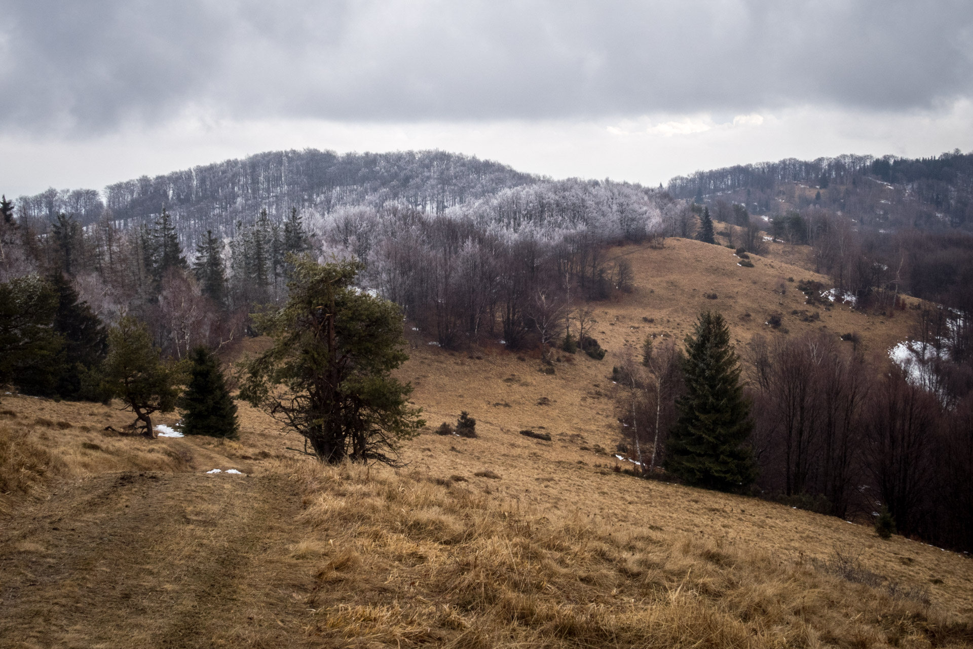 Veľká Javorina cez Čergov z Majdanu (Čergov)