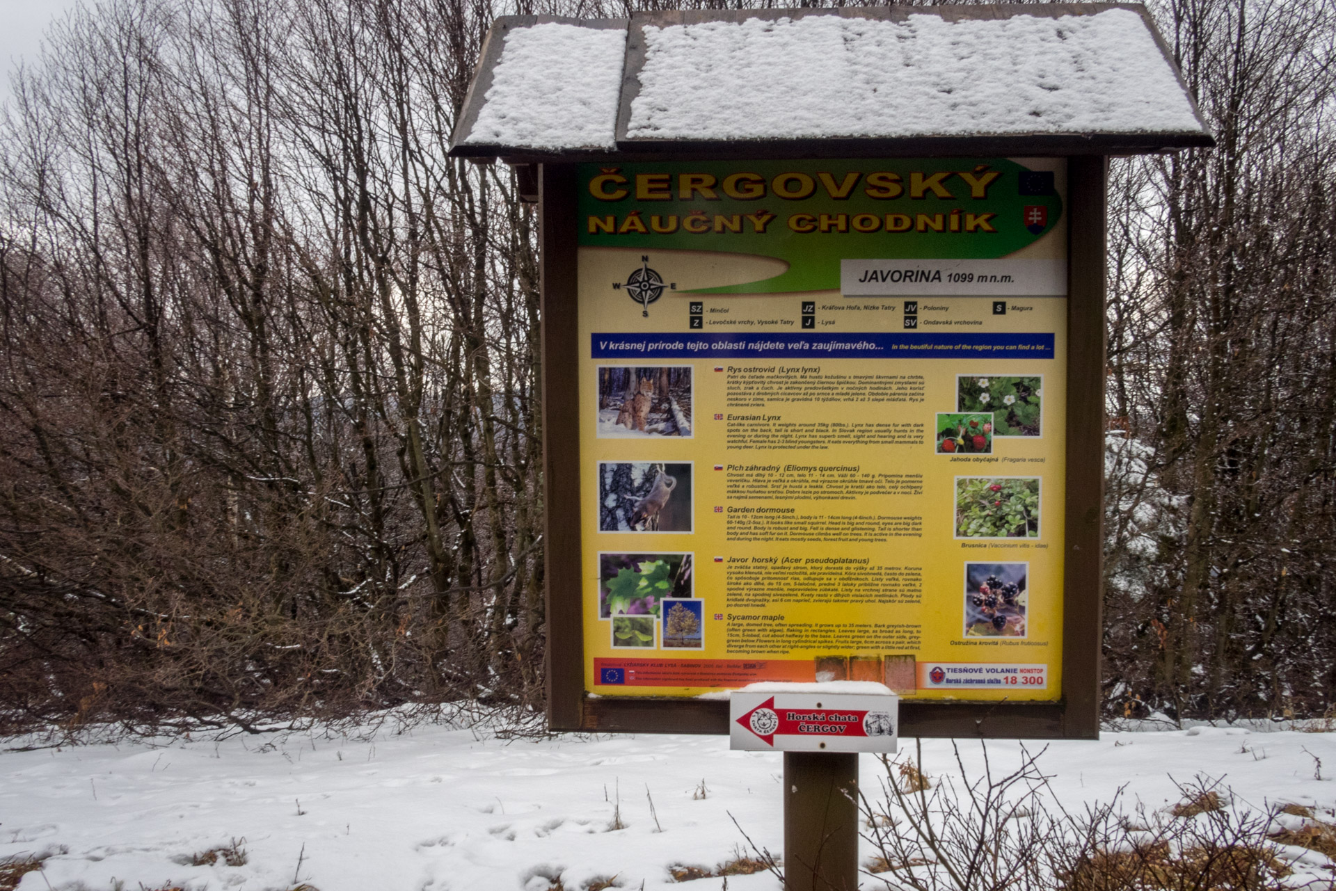 Veľká Javorina cez Čergov z Majdanu (Čergov)