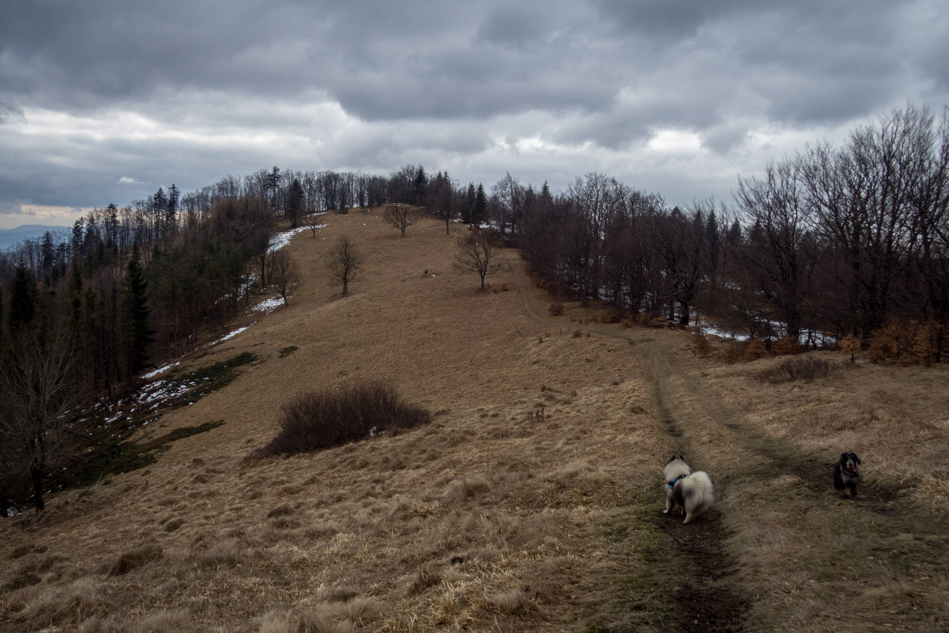 Veľká Javorina cez Čergov z Majdanu (Čergov)