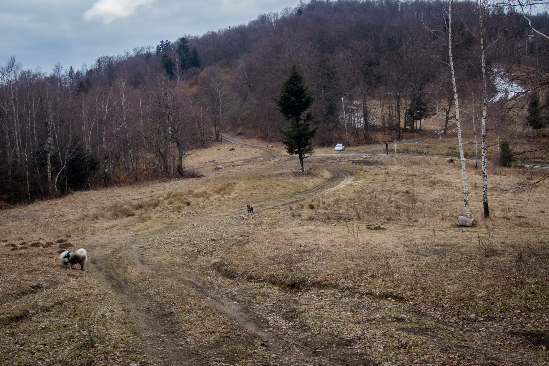 Veľká Javorina cez Čergov z Majdanu (Čergov)