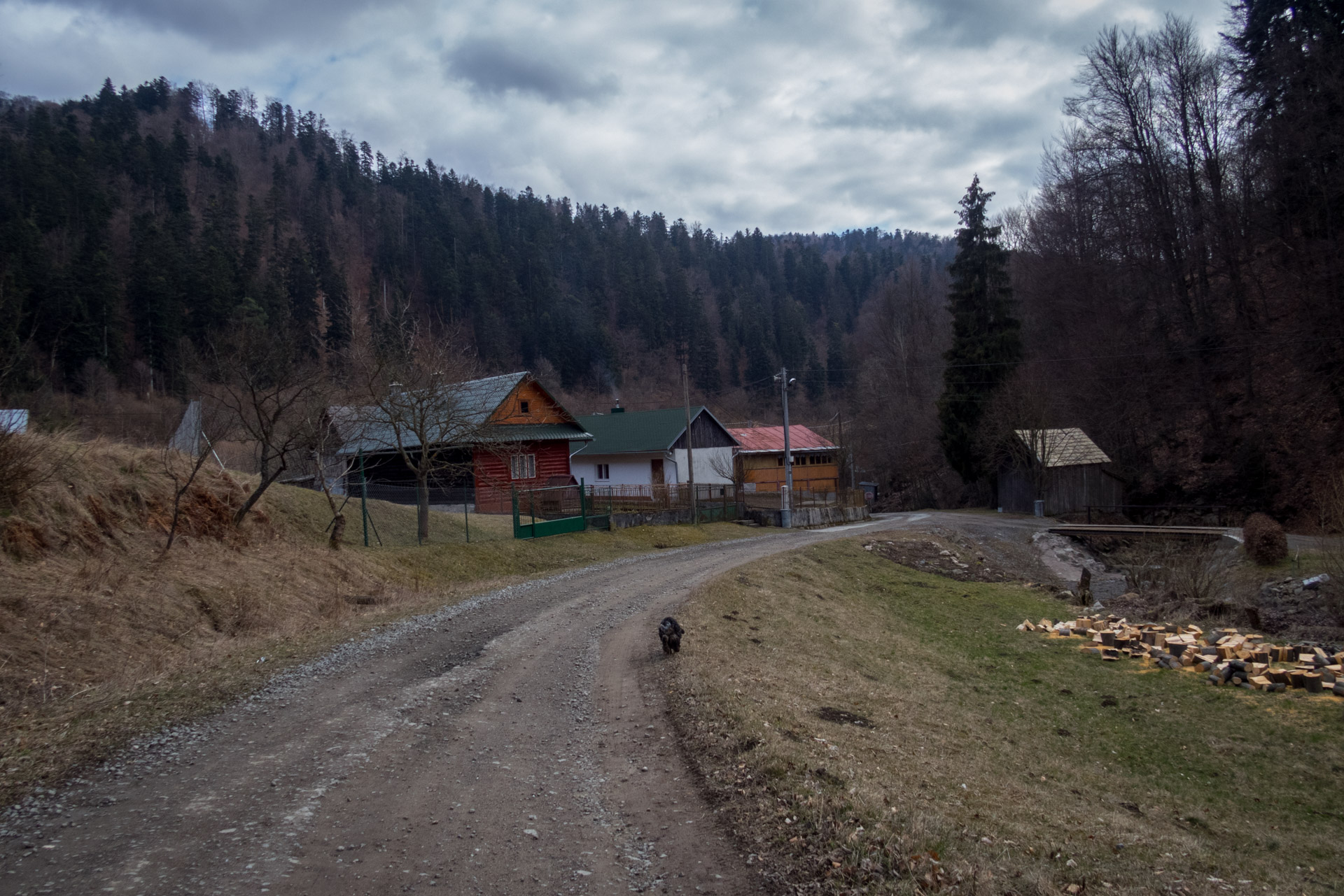 Veľká Javorina cez Čergov z Majdanu (Čergov)