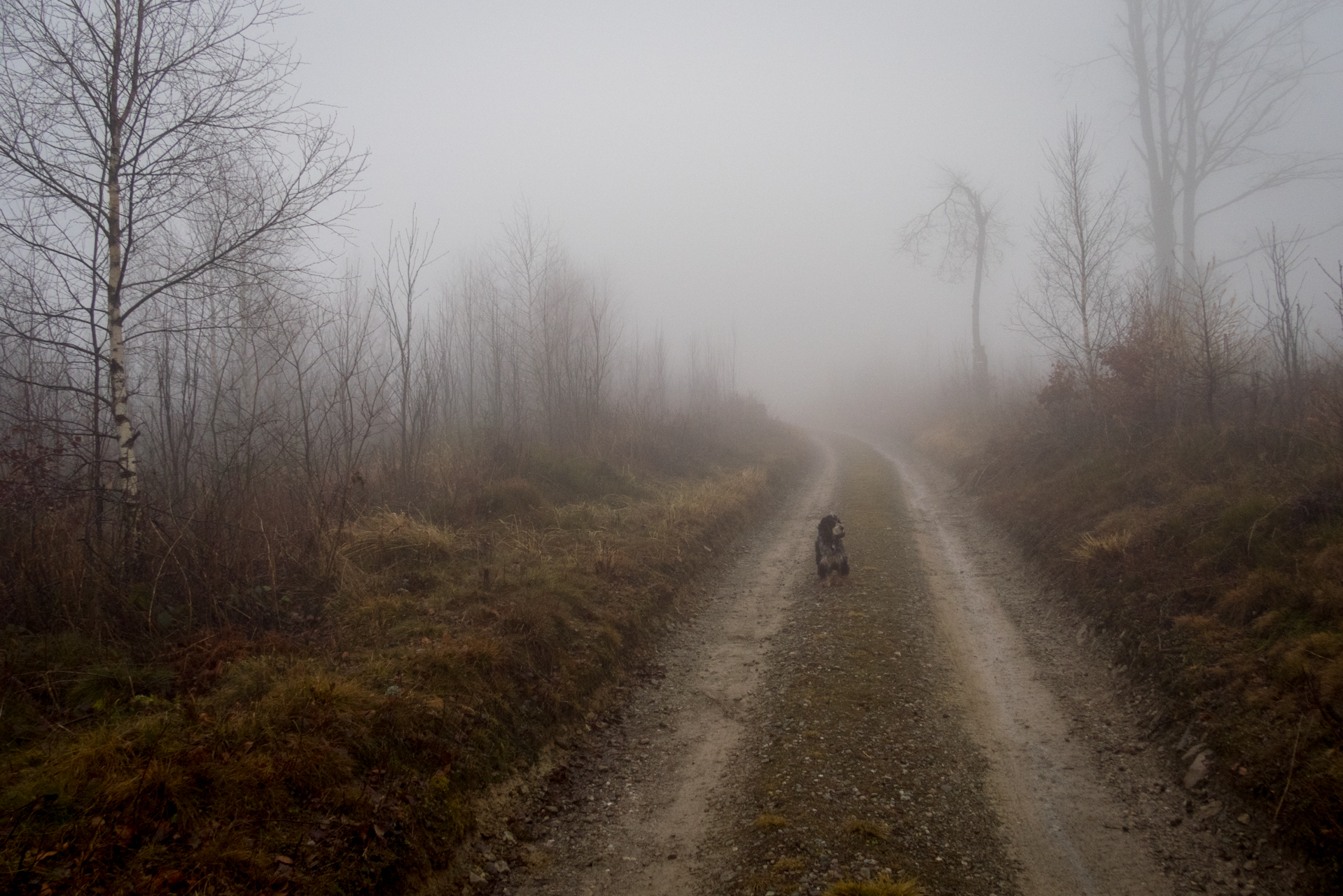 Veľká Knola zo sedla Grajnár (Volovské vrchy)